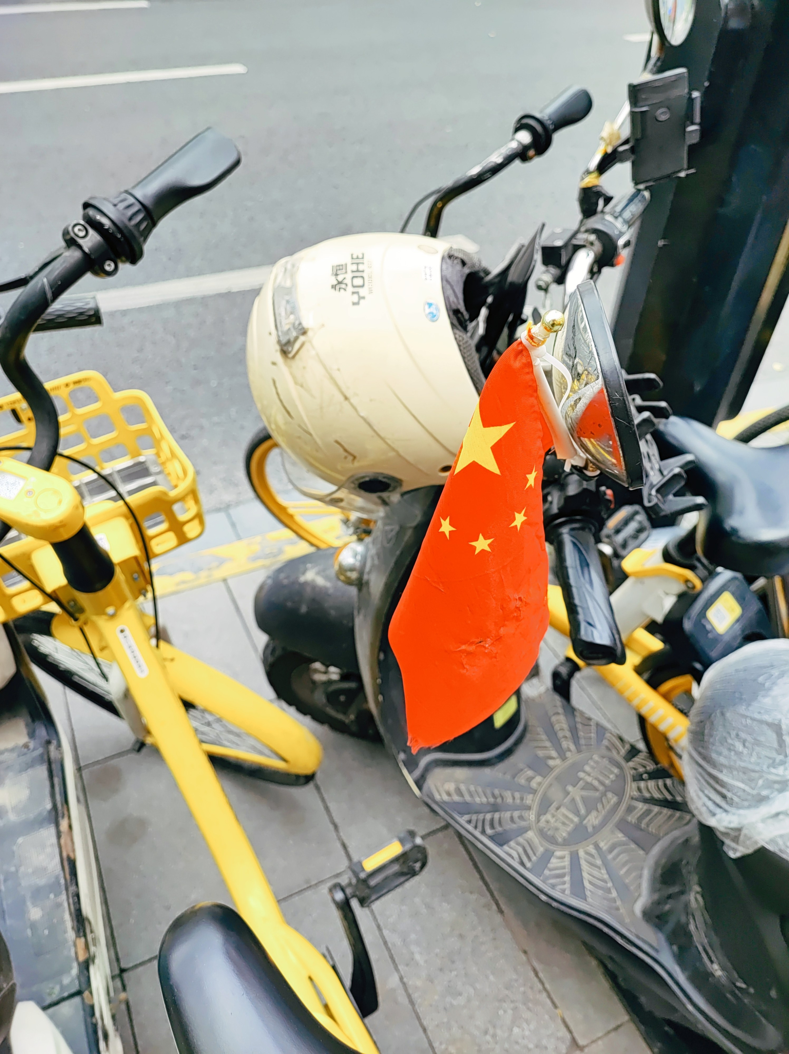 Намобилкус китайский. Репортажный фотограф Алексей Пирязев