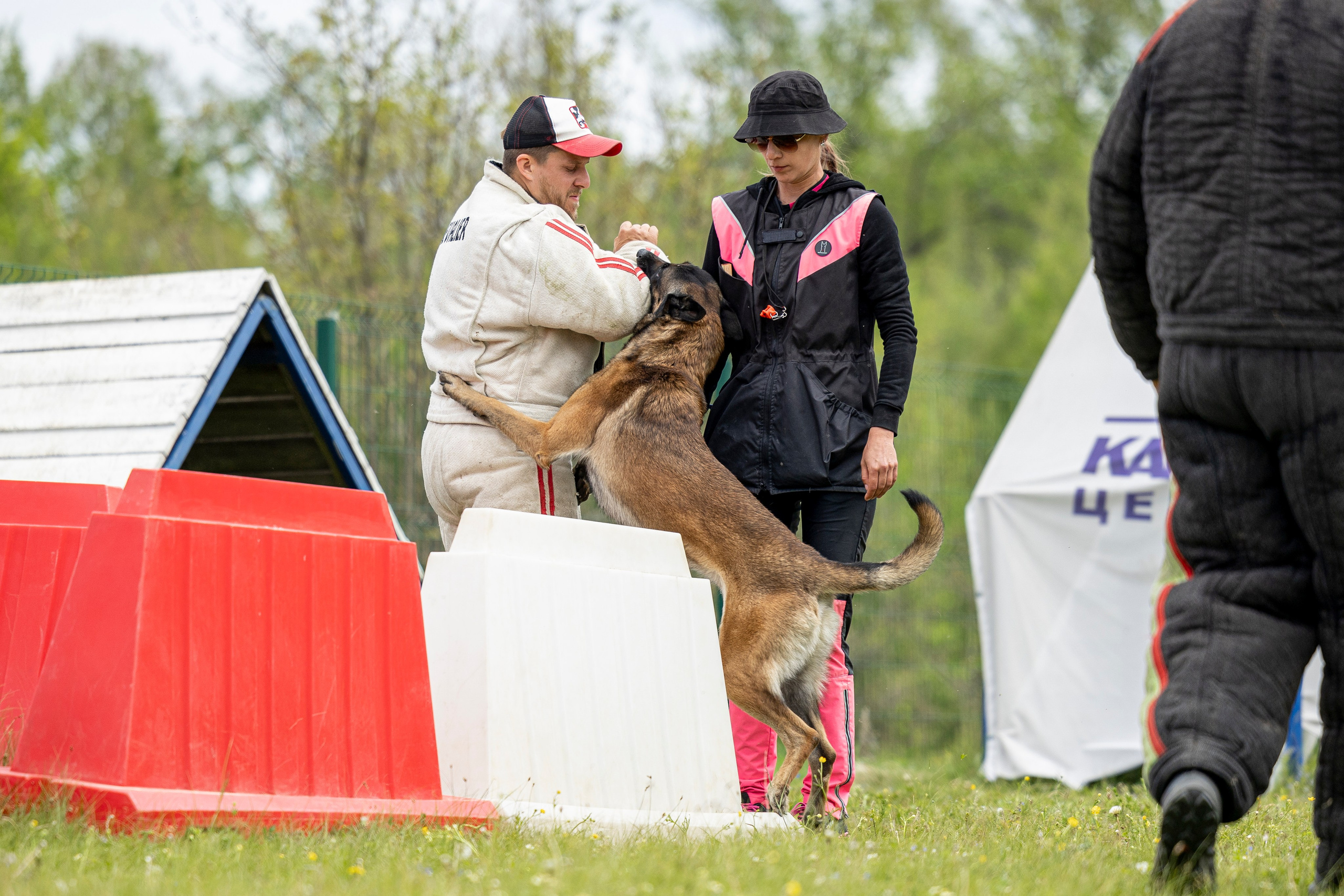 Испытания по мондьорингу в Нижнем Новгороде. Фотограф-анималист Анна Маринич
