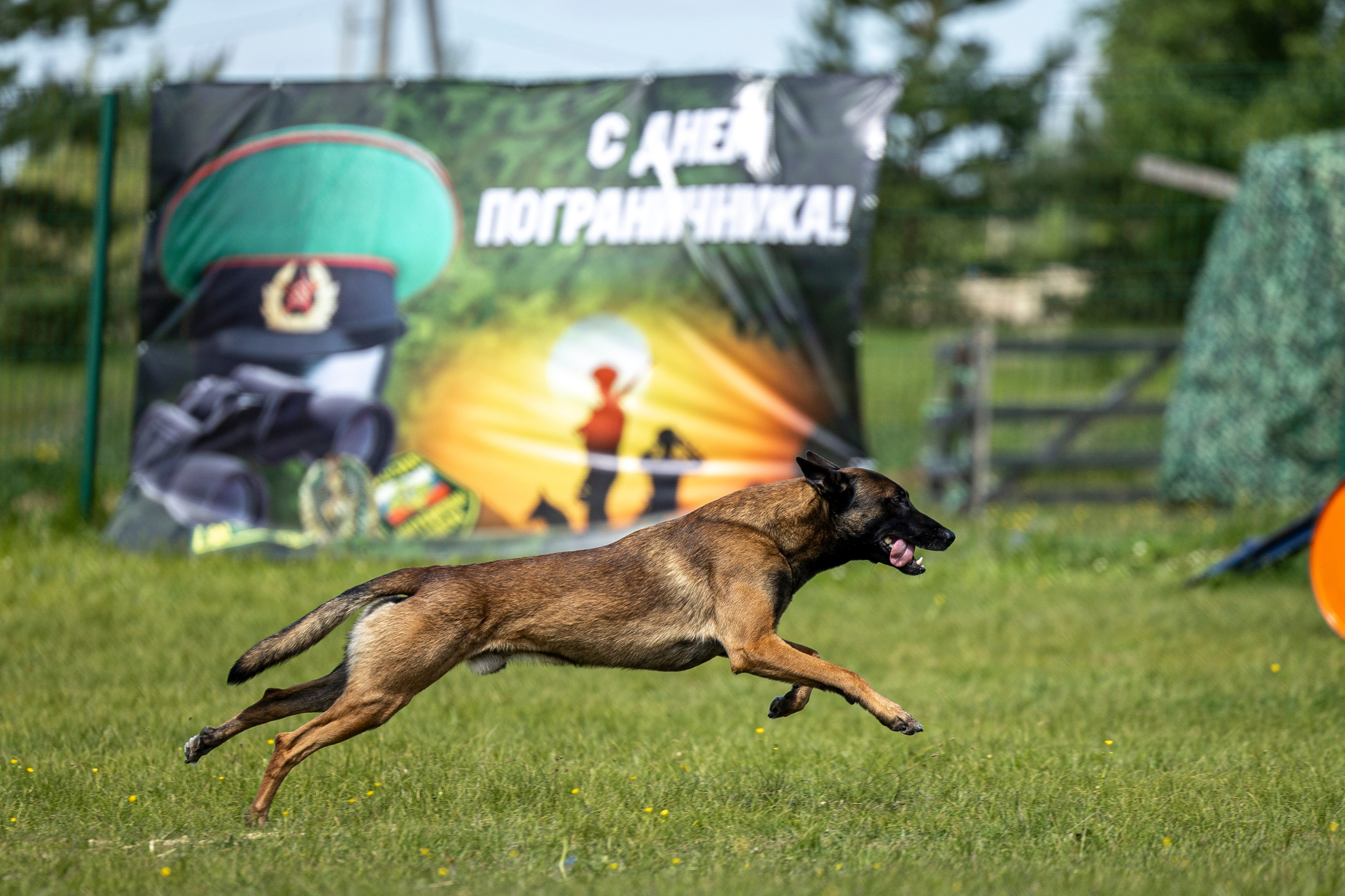 Испытания по мондьорингу в Нижнем Новгороде. Фотограф-анималист Анна Маринич