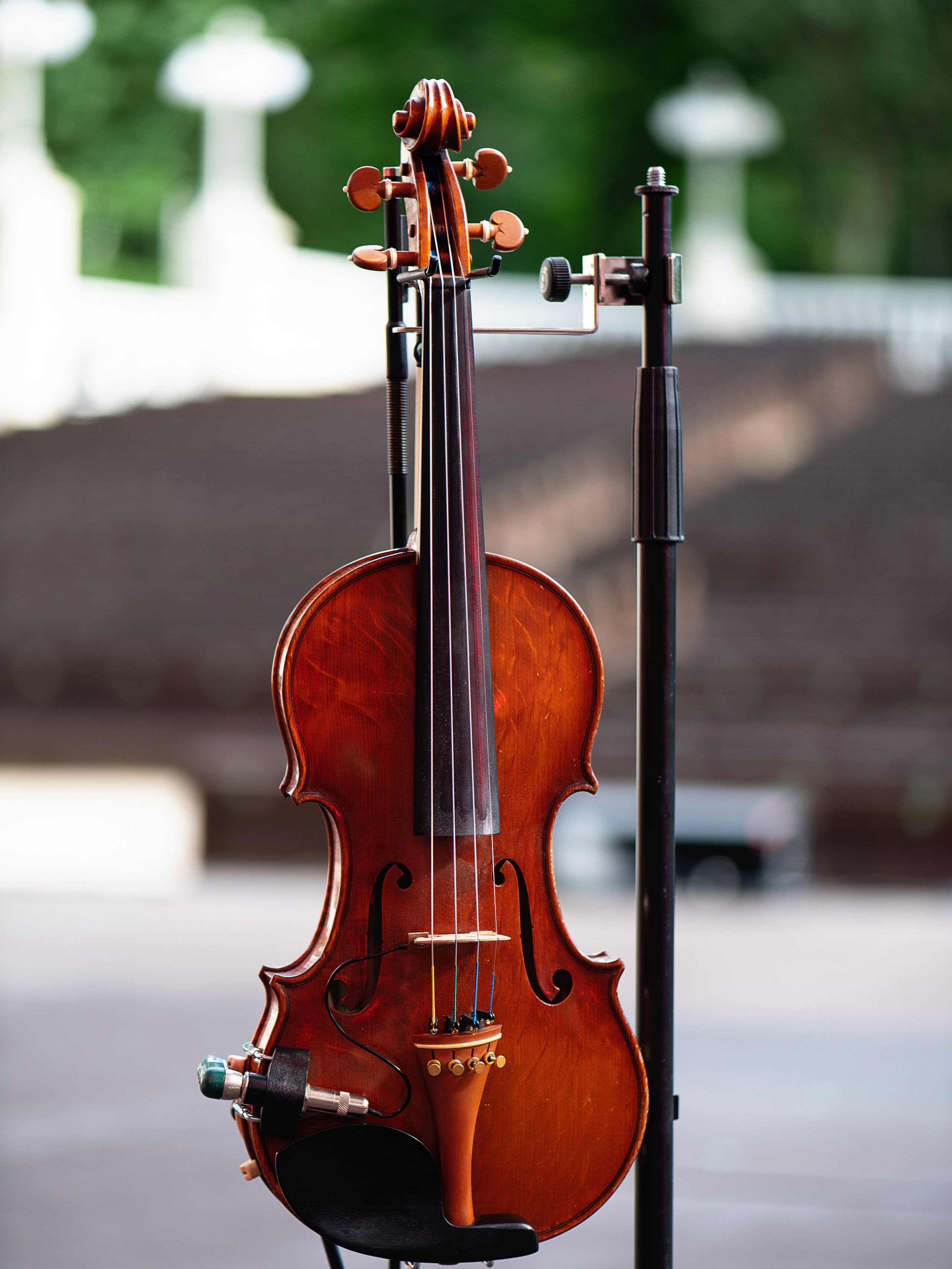 Светлана Сурганова и Оркестр. Зеленый театр, ВДНХ. 21.06.2024. Фотограф в Москве, Оксана Ребристая