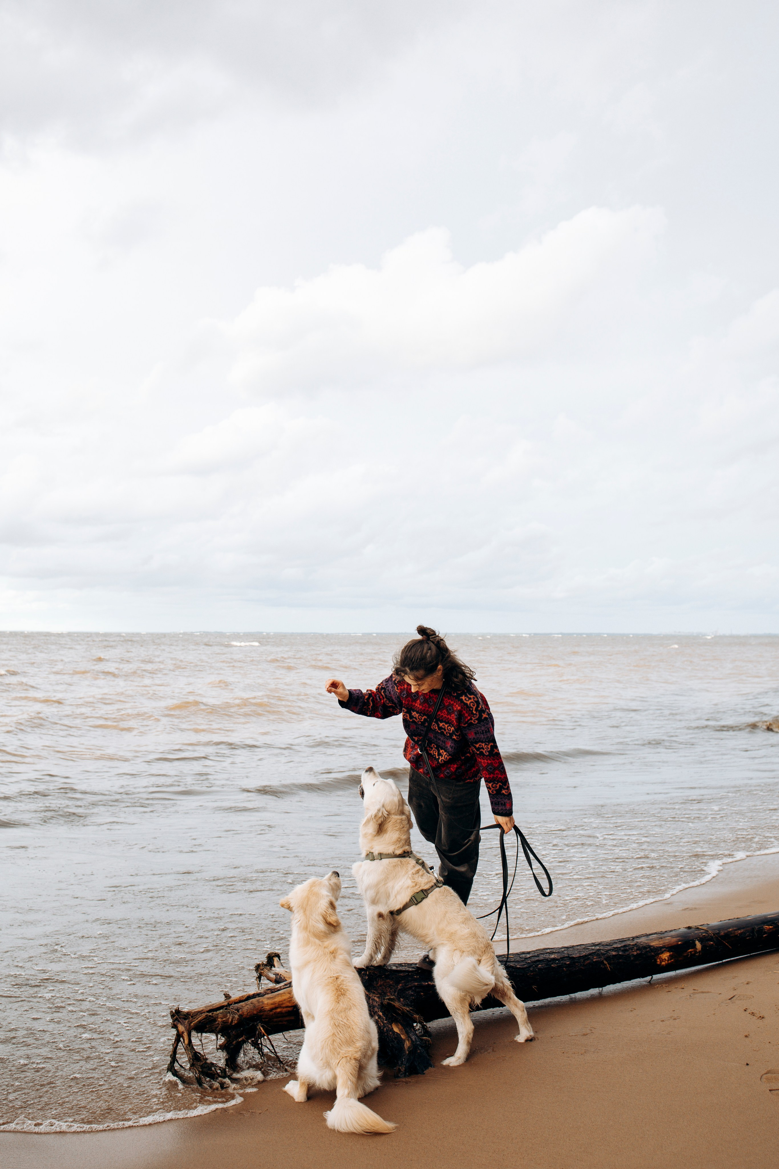 Прогулка Насти с Арчи и Арагоном. Фотограф-анималист в Санкт-Петеребурге Титова Алиса
