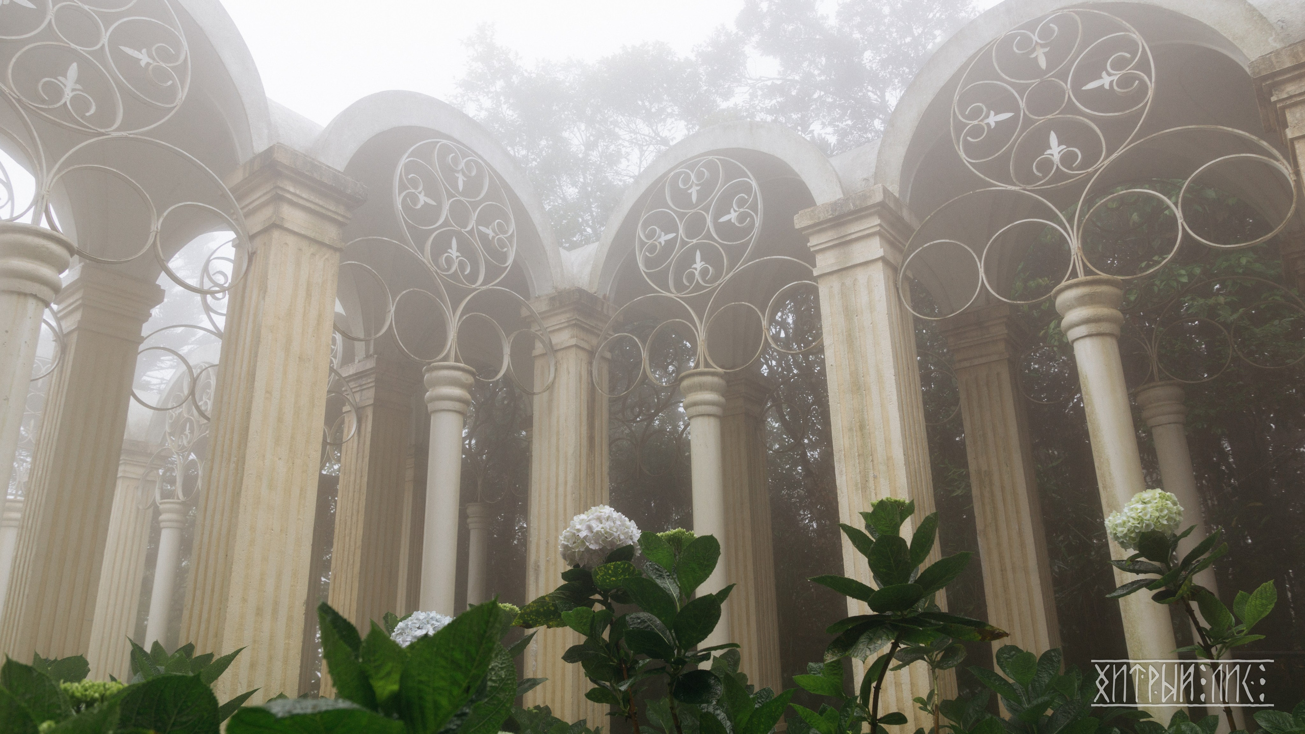 Вьетнам. Фотограф-путешественник Самойлов Максим «Sly Fox»