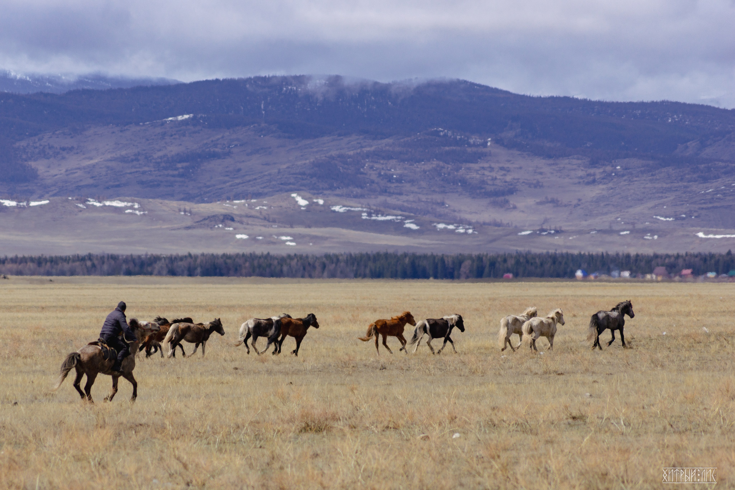 Алтай. Фотограф-путешественник Самойлов Максим «Sly Fox»