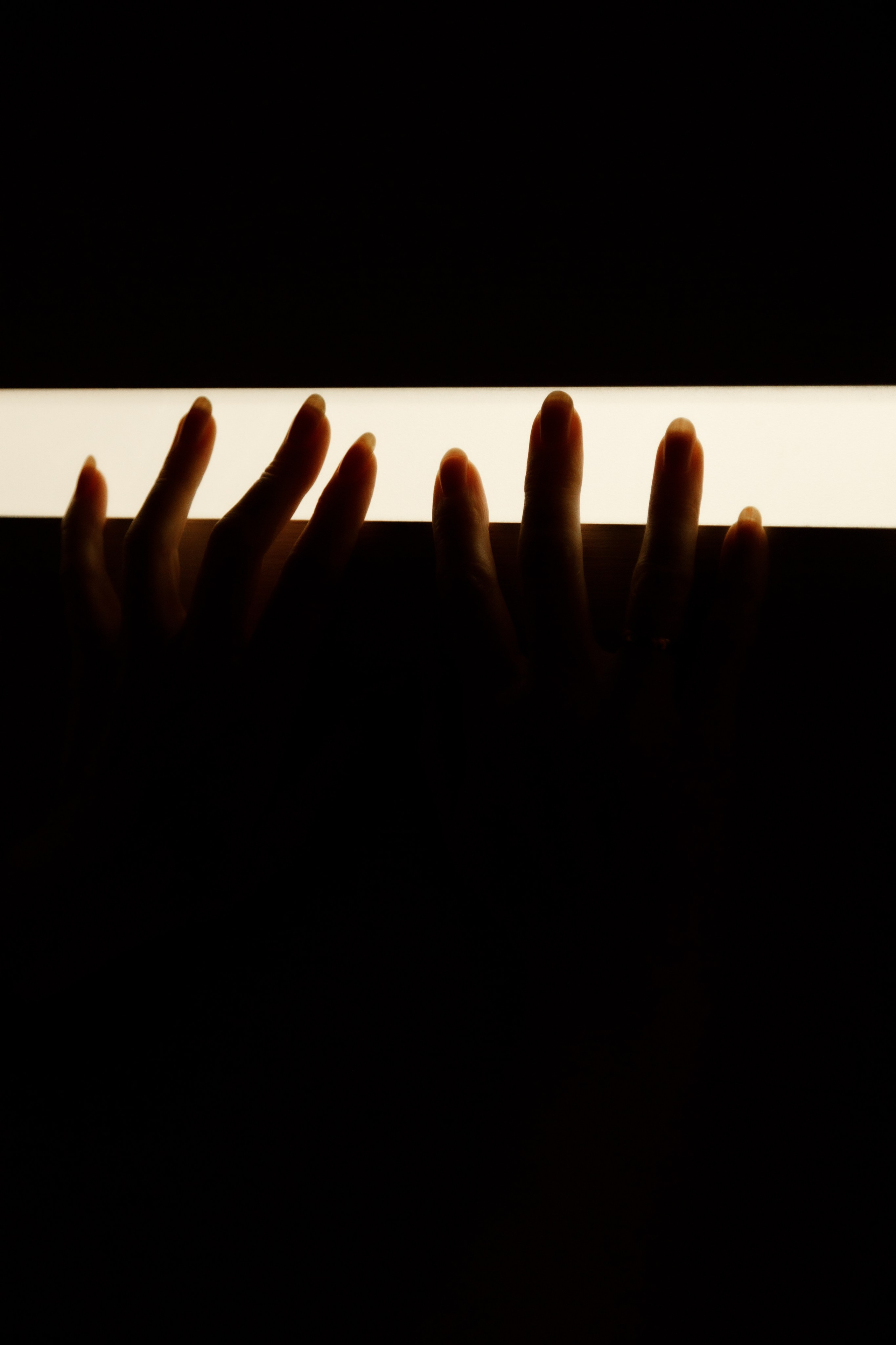 Проект «366»|2024|Фото каждый день. LENA GRACE photographer ||ЛЕНА ГРЭЙС фотограф