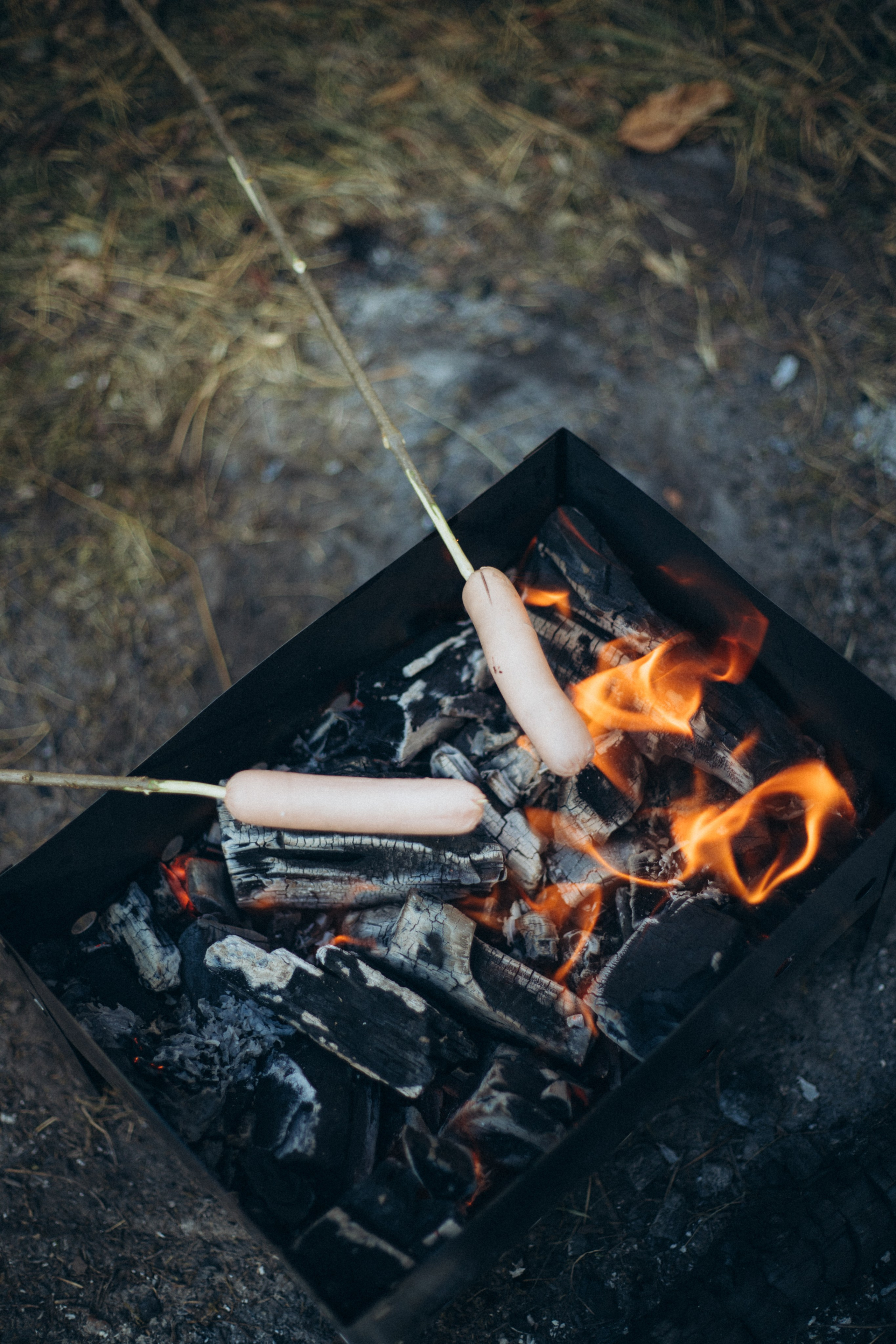 Лес. Семейный и репортажный фотограф в Орле