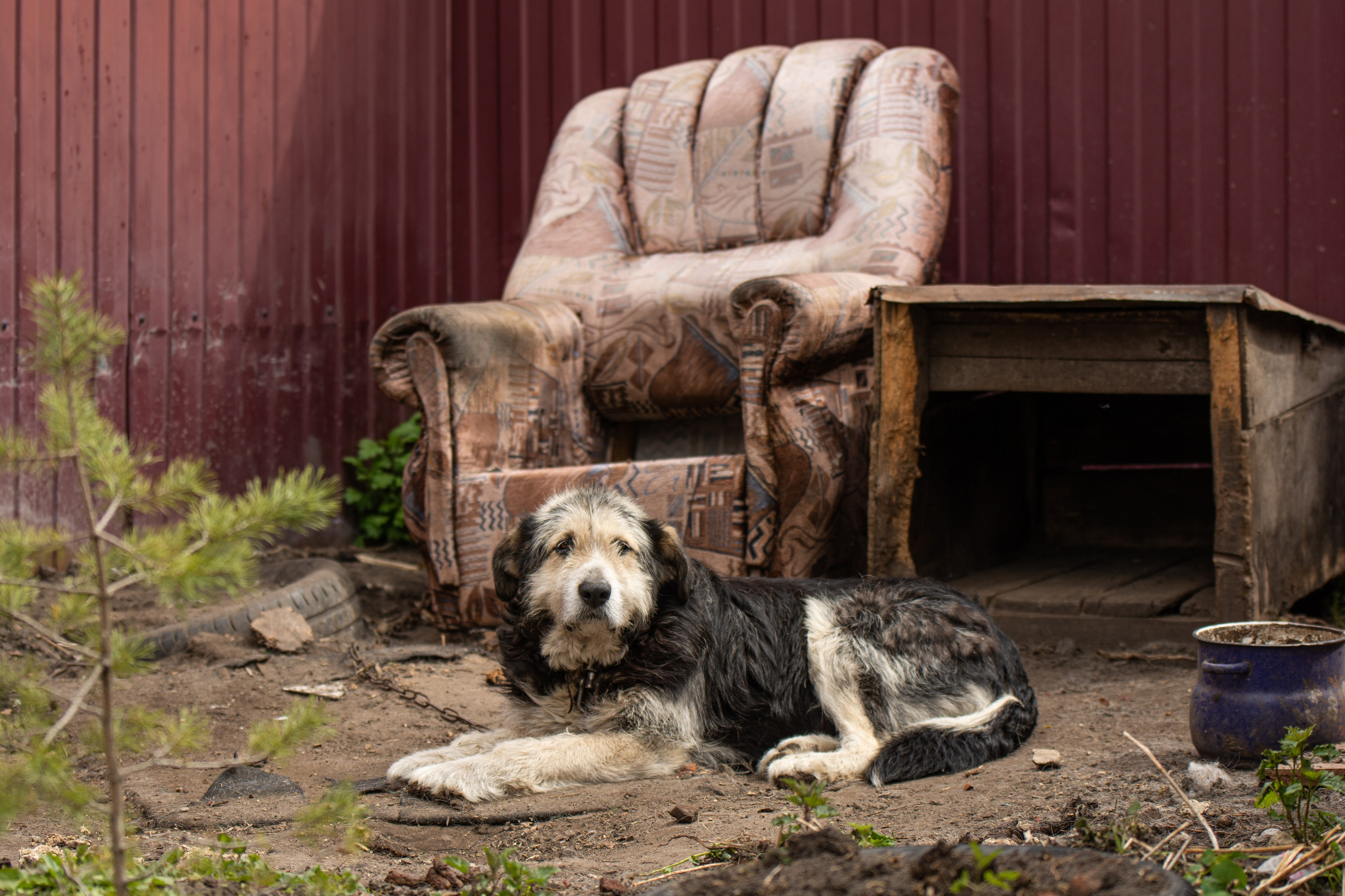 Том Сойер Фест ул. Кардовского 25 (репортаж). Портретная и репортажная съёмка