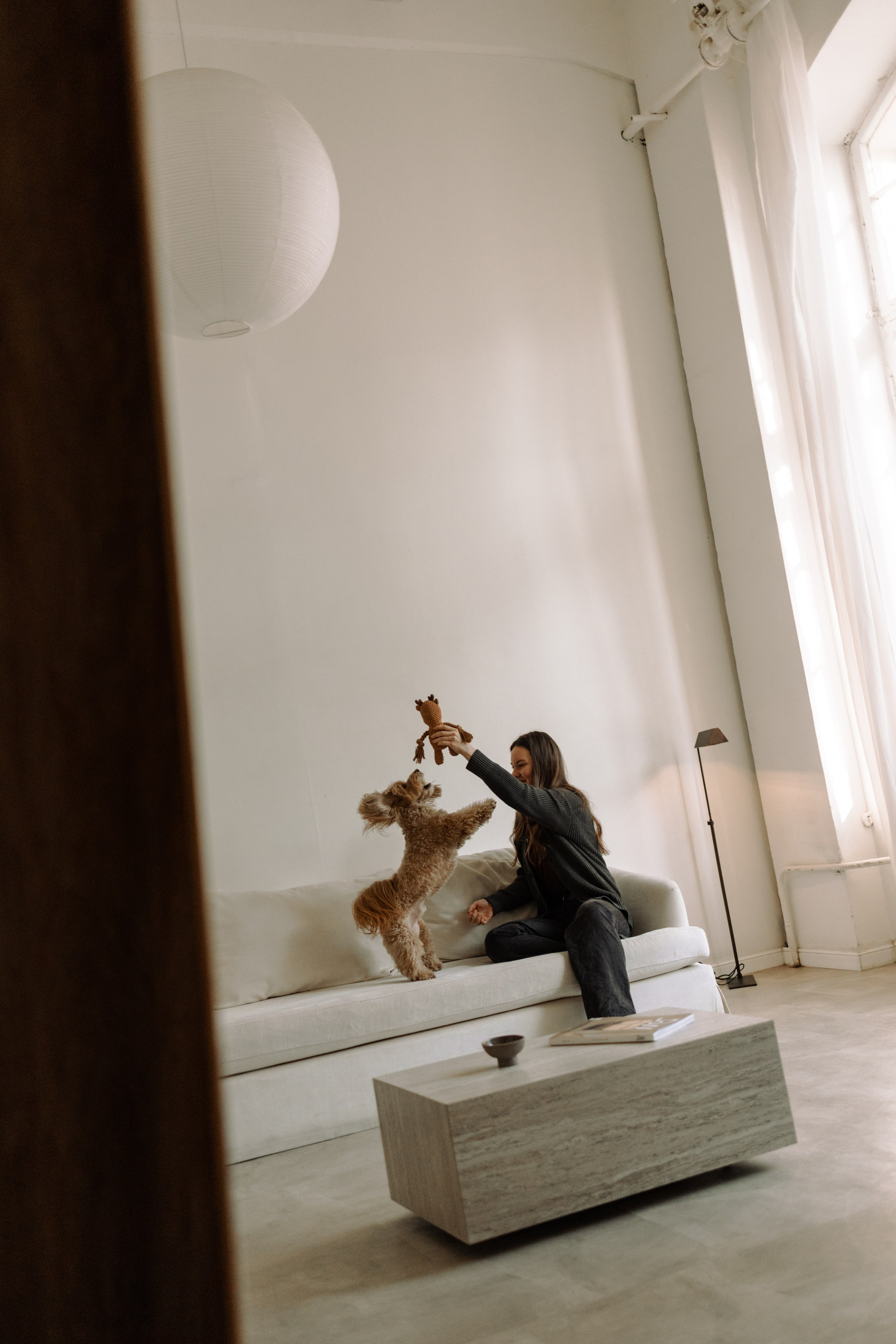 Шкипер и его семья. Фотограф — Анималист | Санкт-Петербург