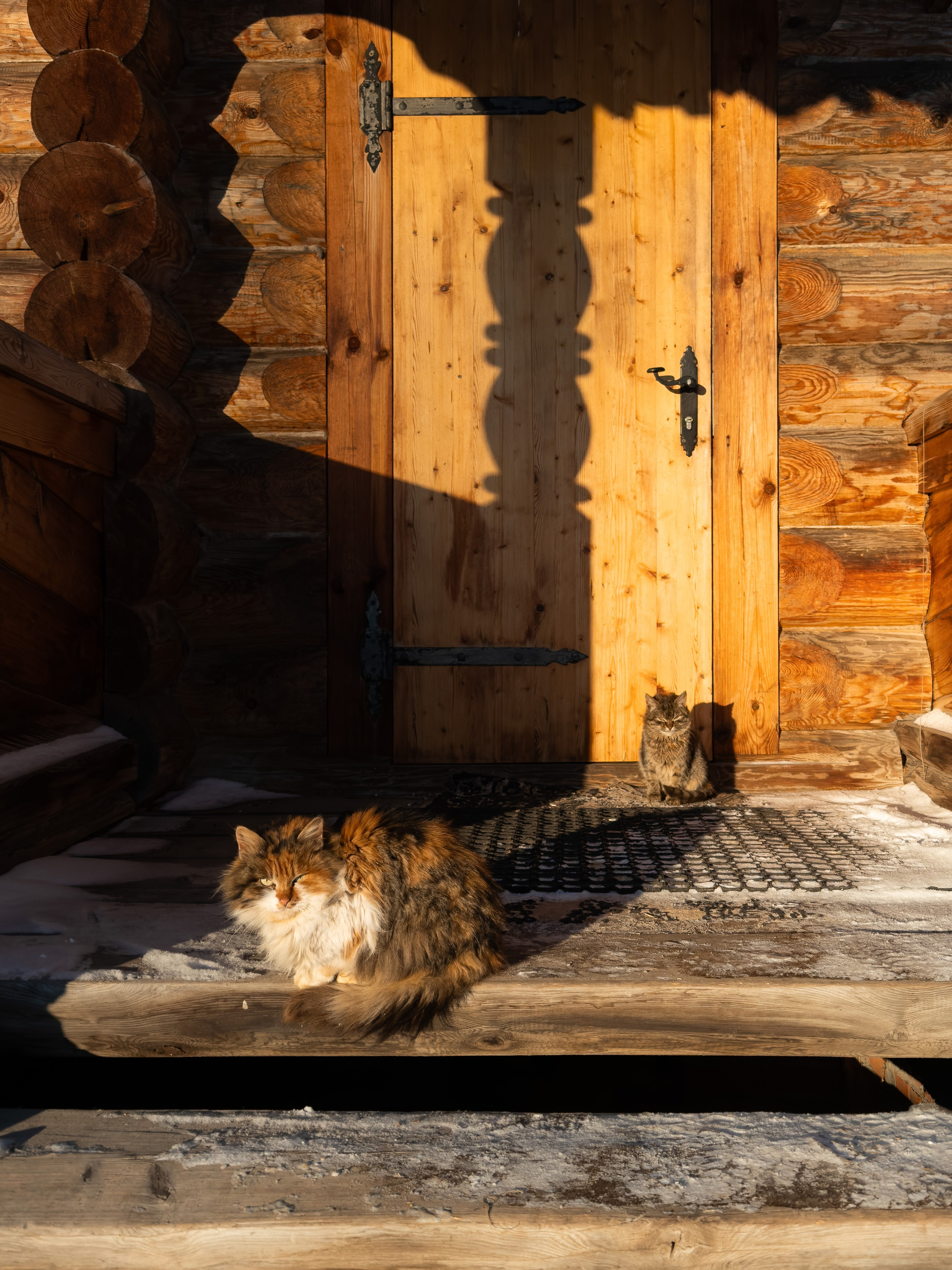Церковь Михаила Архангела. Фотограф и видеооператор в Туле | Даниил Рыбак