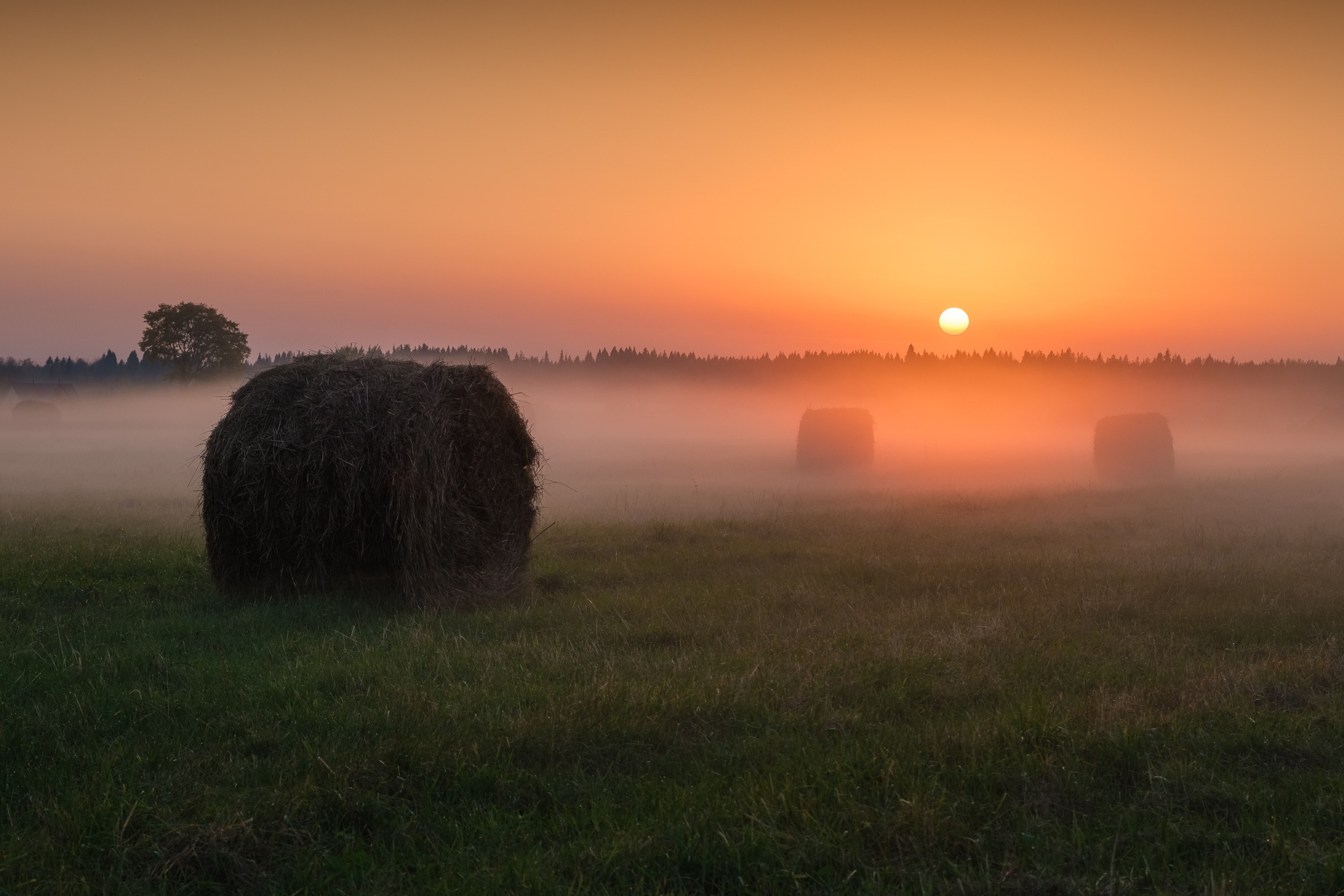 Архангельская область. Фотограф и видеооператор в Туле | Даниил Рыбак