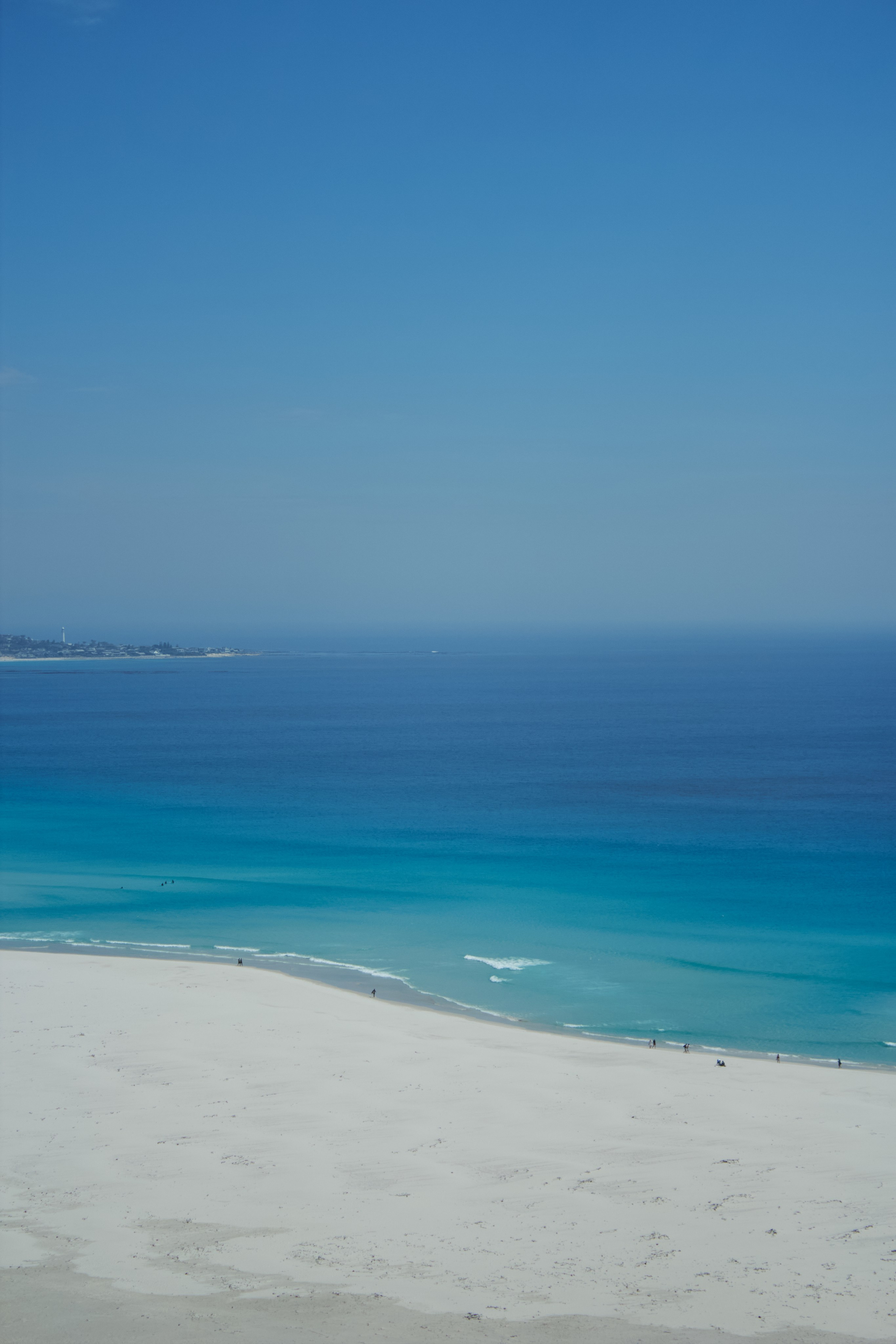 ЮАР. Профессиональный Фотограф во Владимире, в Москве и в Суздале — Полина Романычева