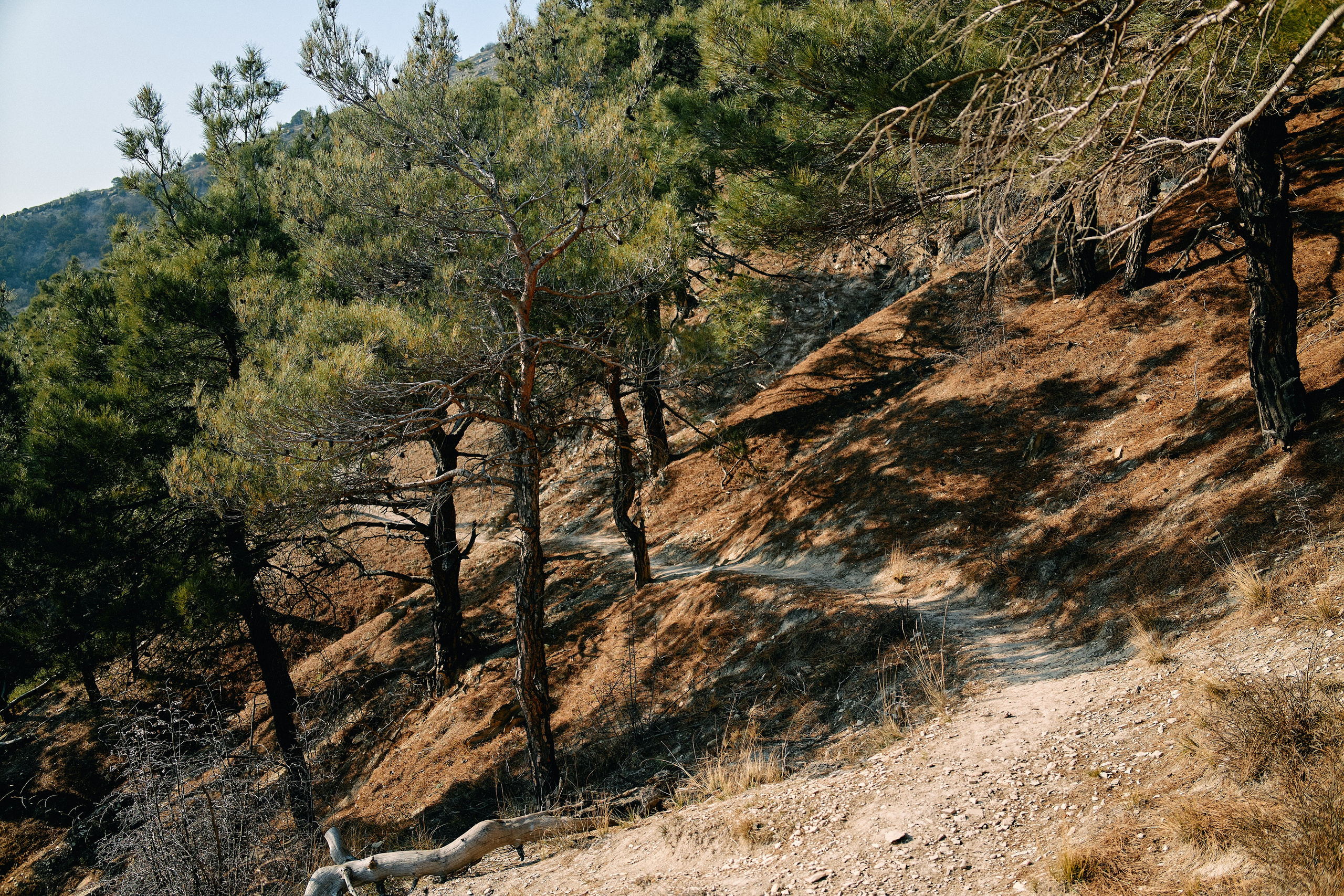 Юг России. Профессиональный Фотограф во Владимире, в Москве и в Суздале — Полина Романычева