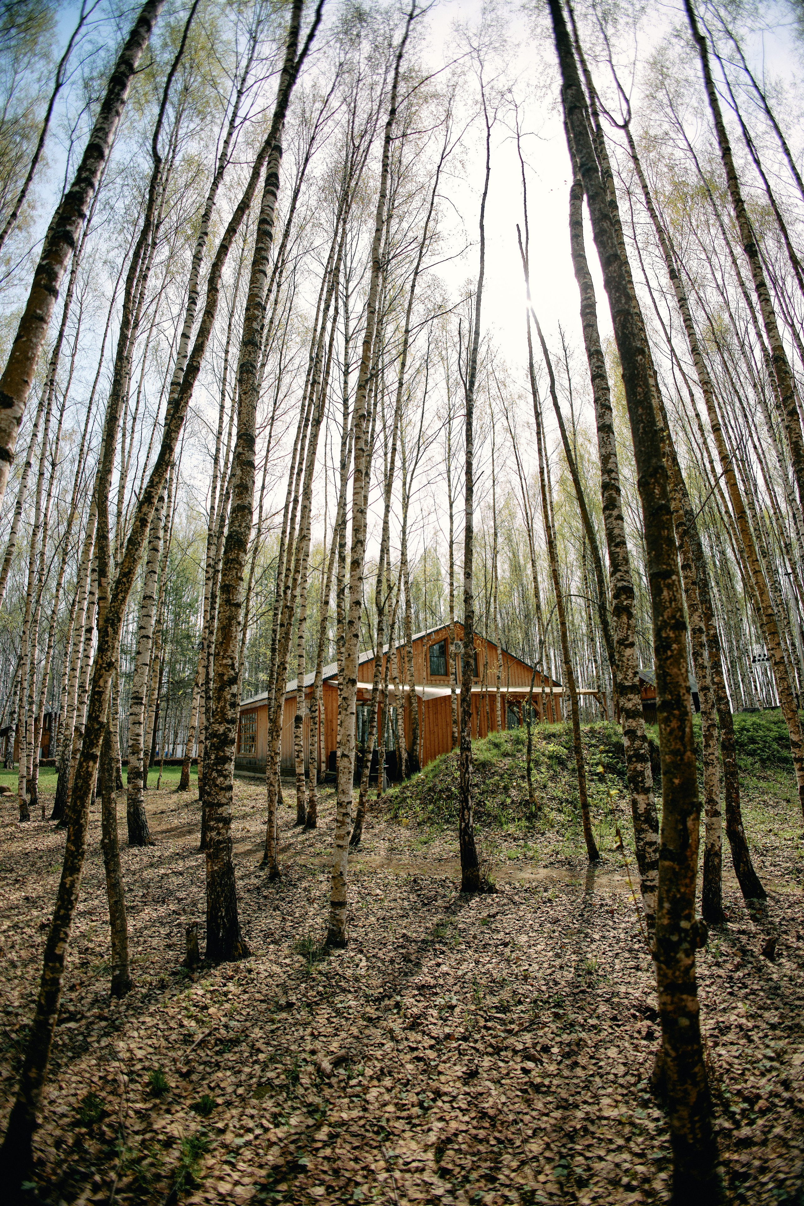 Бутик-отель Поле летом. Профессиональный Фотограф во Владимире, в Москве и в Суздале — Полина Романычева