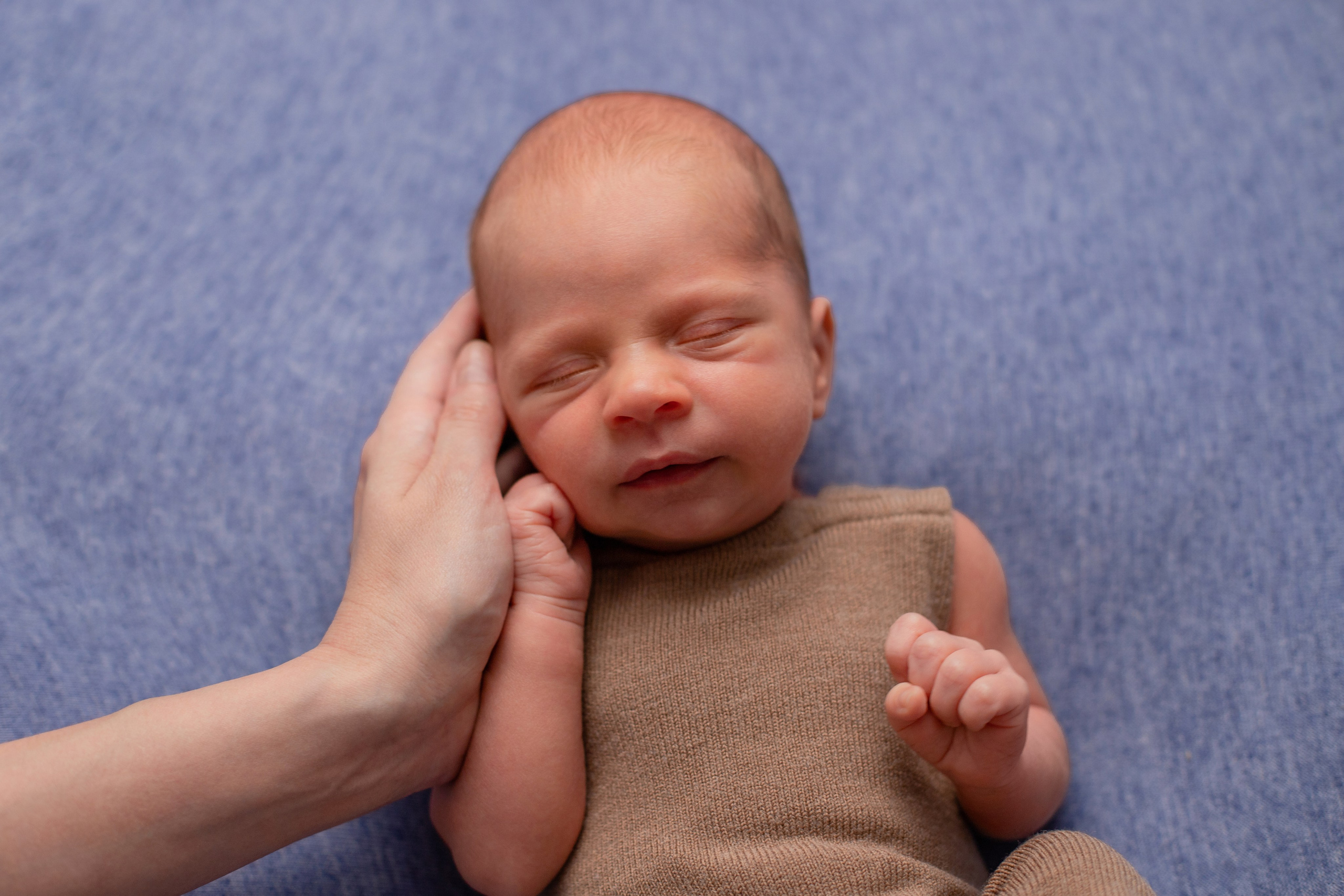 Малыш Василий (21 денечков). Фотограф в Северском районе| г. Краснодар Алена Заливчая