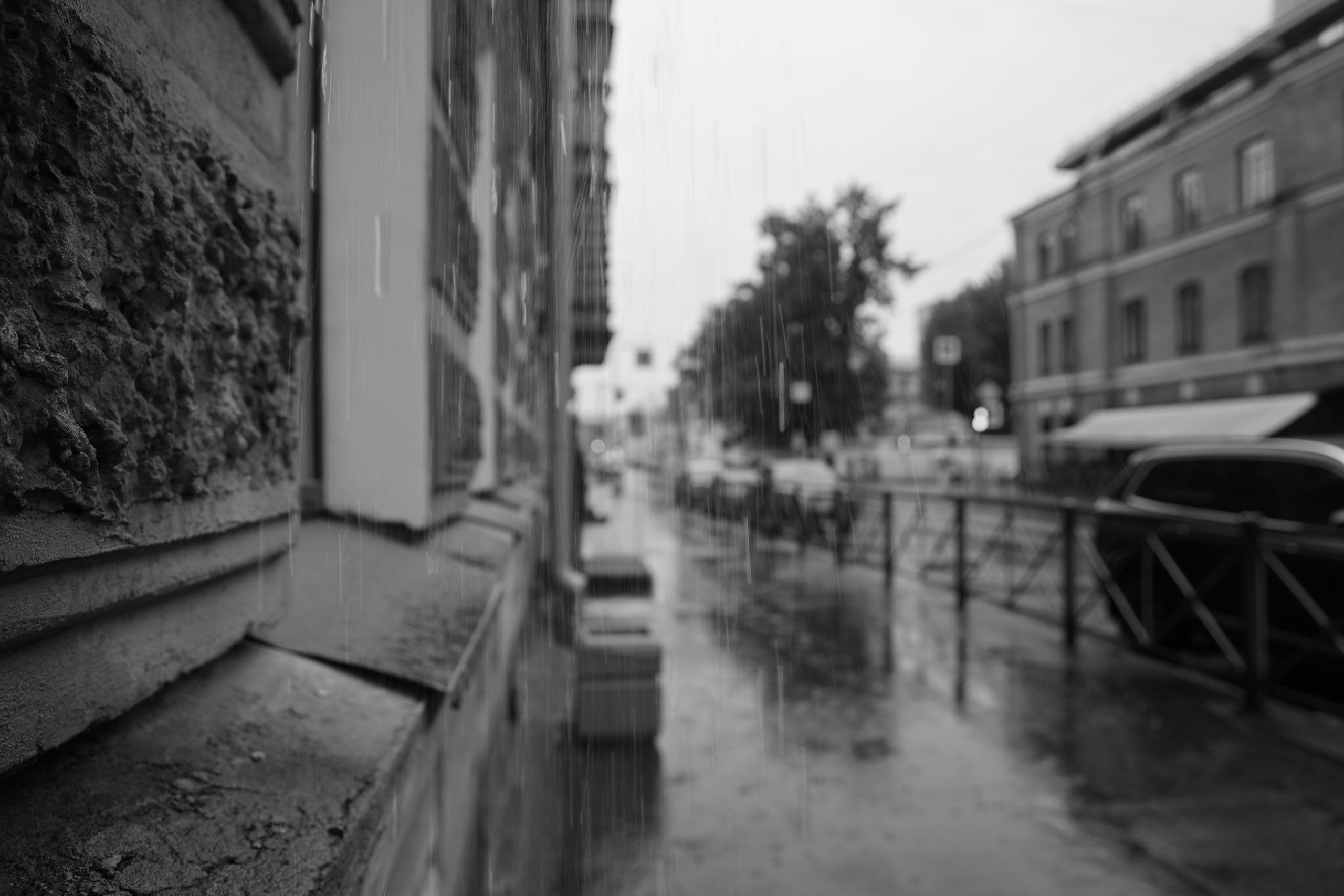 Любимое. Фотограф в Санкт-Петербурге Анна Сосновская