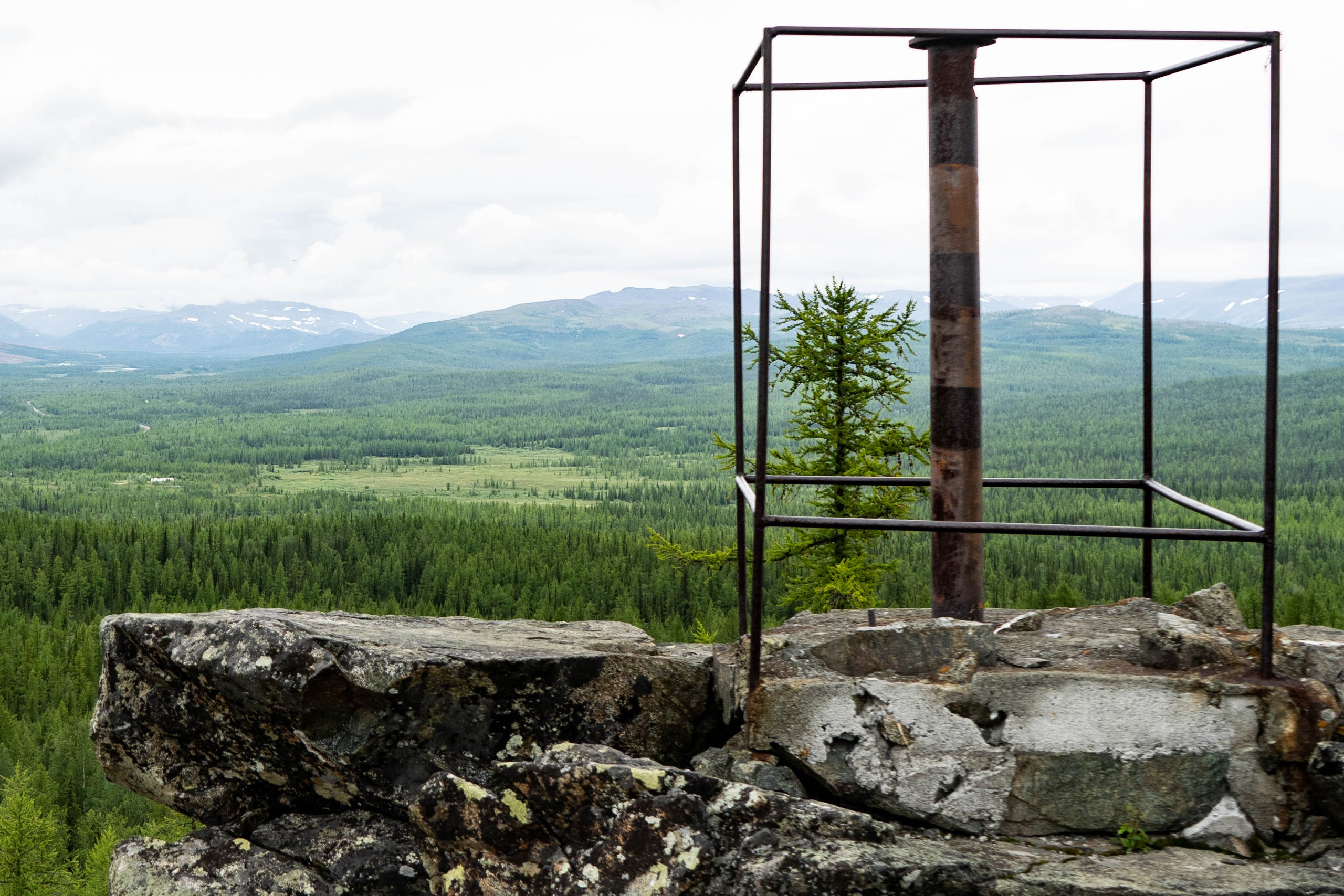 Лето в тундре. Фотограф Екатерина Зорина