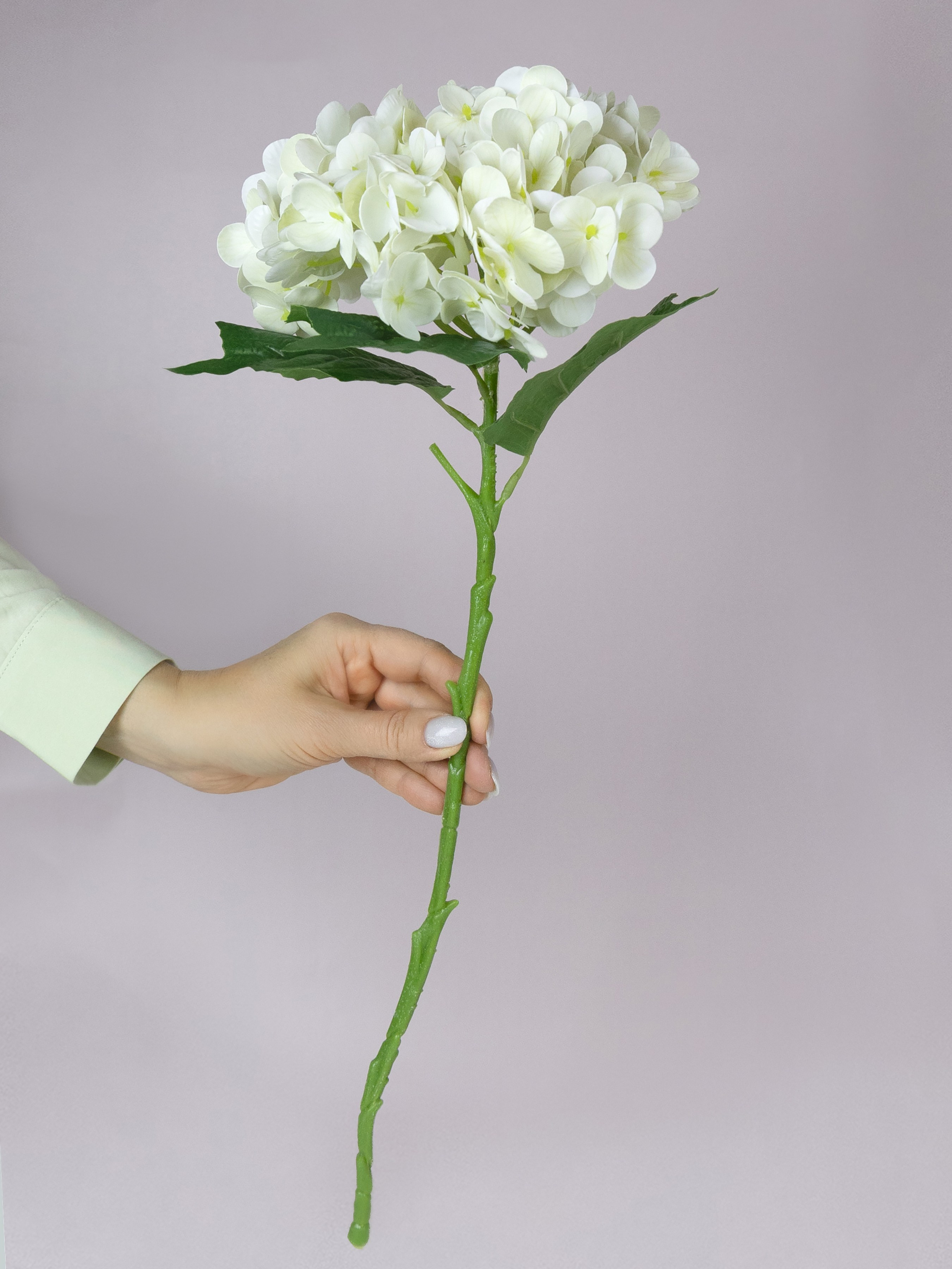 Фотограф СПб Юлия Ерошевская, предметный фотограф