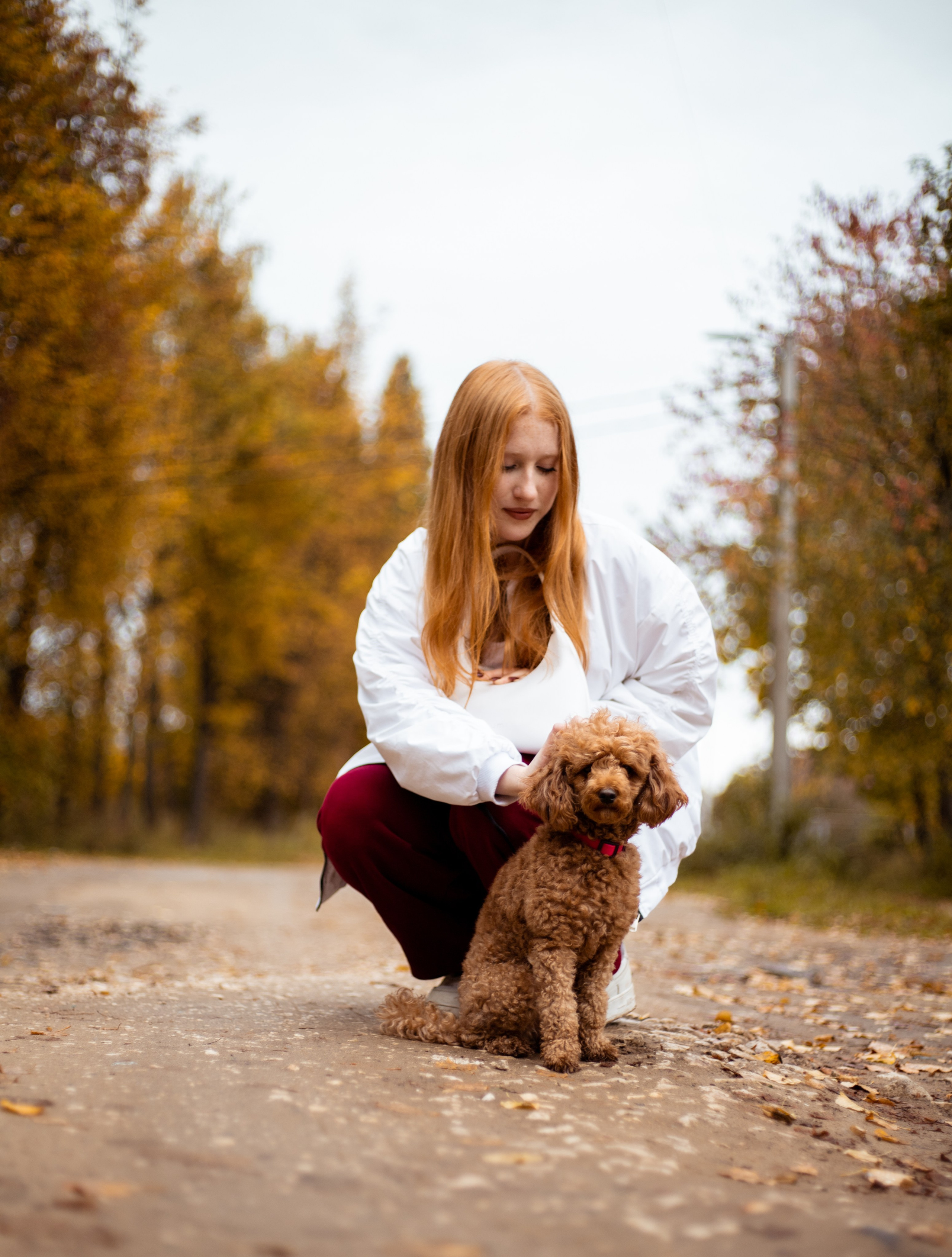 Съемки с питомцем. Tenny-Tiny Ph