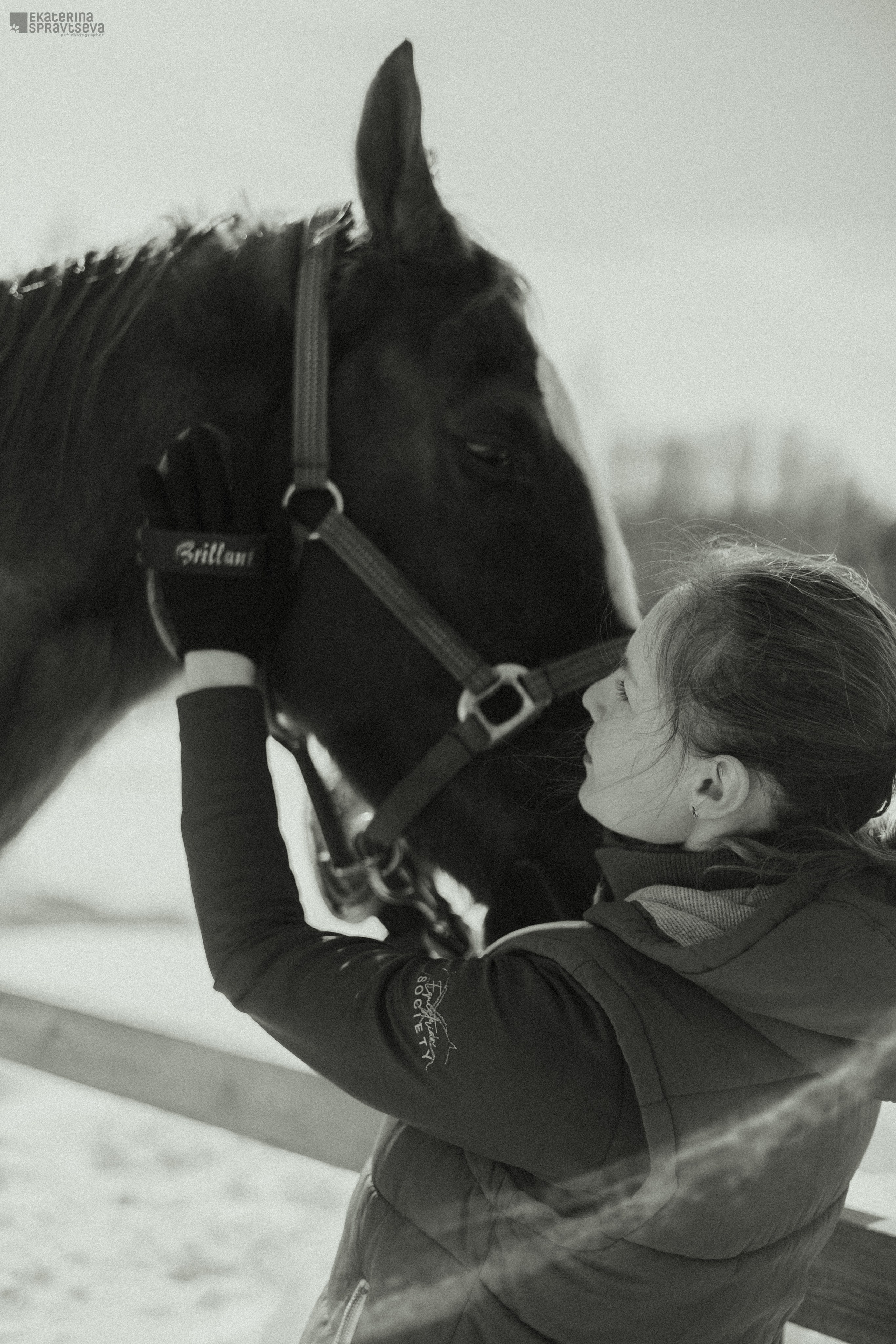 Среди грив и копыт. Фотограф Анималист Екатерина Справцева в Нижнем Новгороде