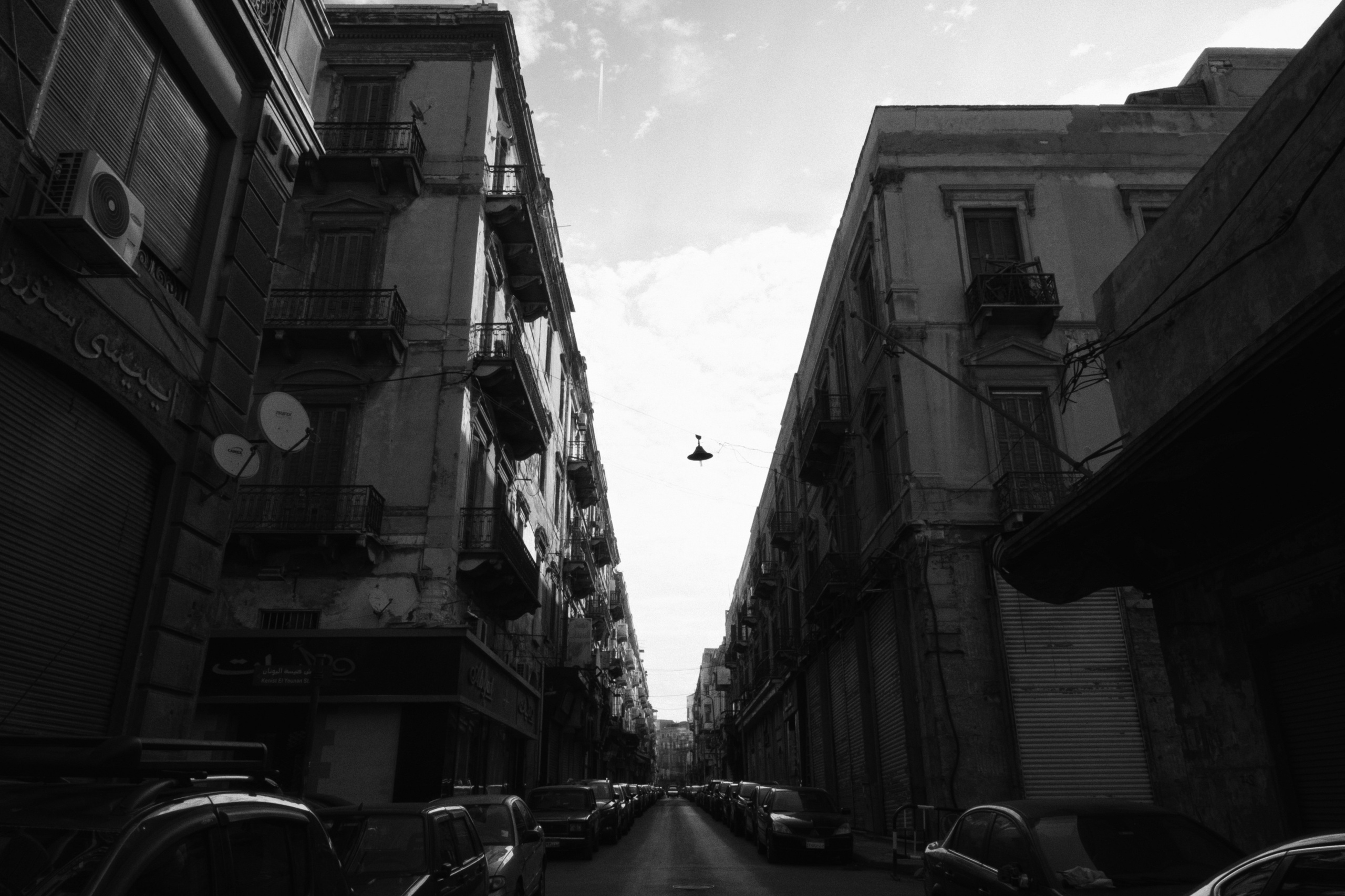 Alexandria / Egypt AW25. Фотограф Юрин Евгений