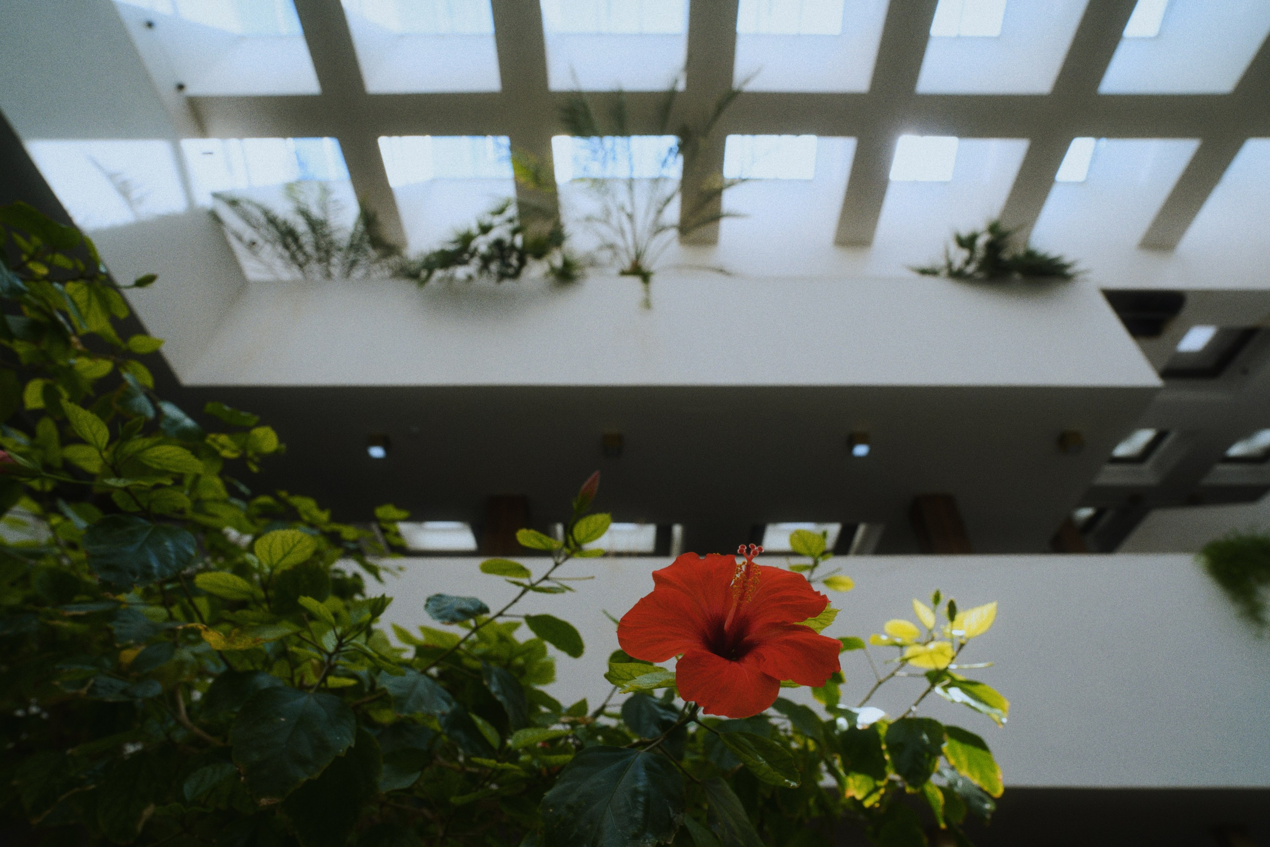 DSPL. Фотограф Юрин Евгений