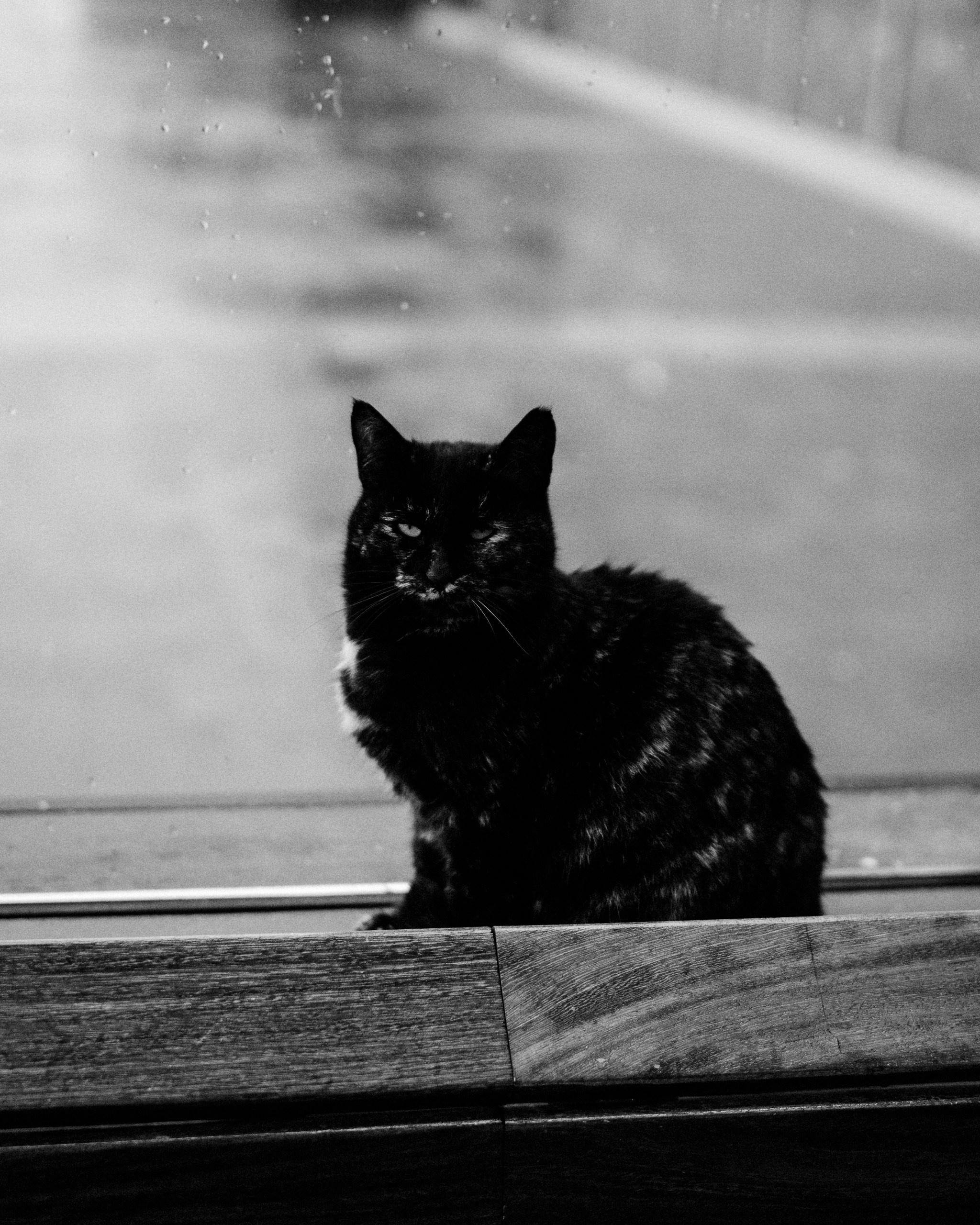 MEHIN. Фотограф города Уральск Ольга Василец