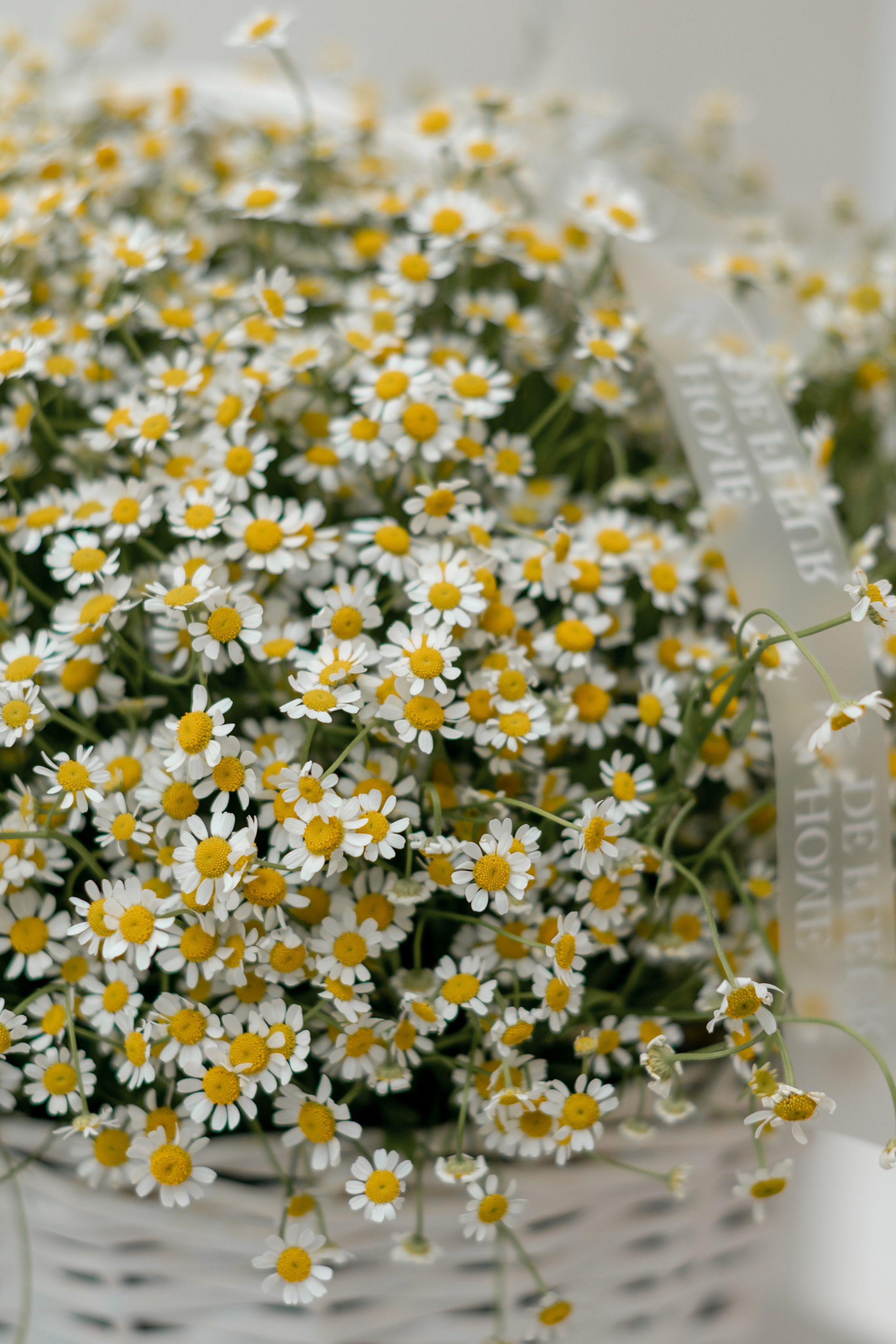 Презентация бренда