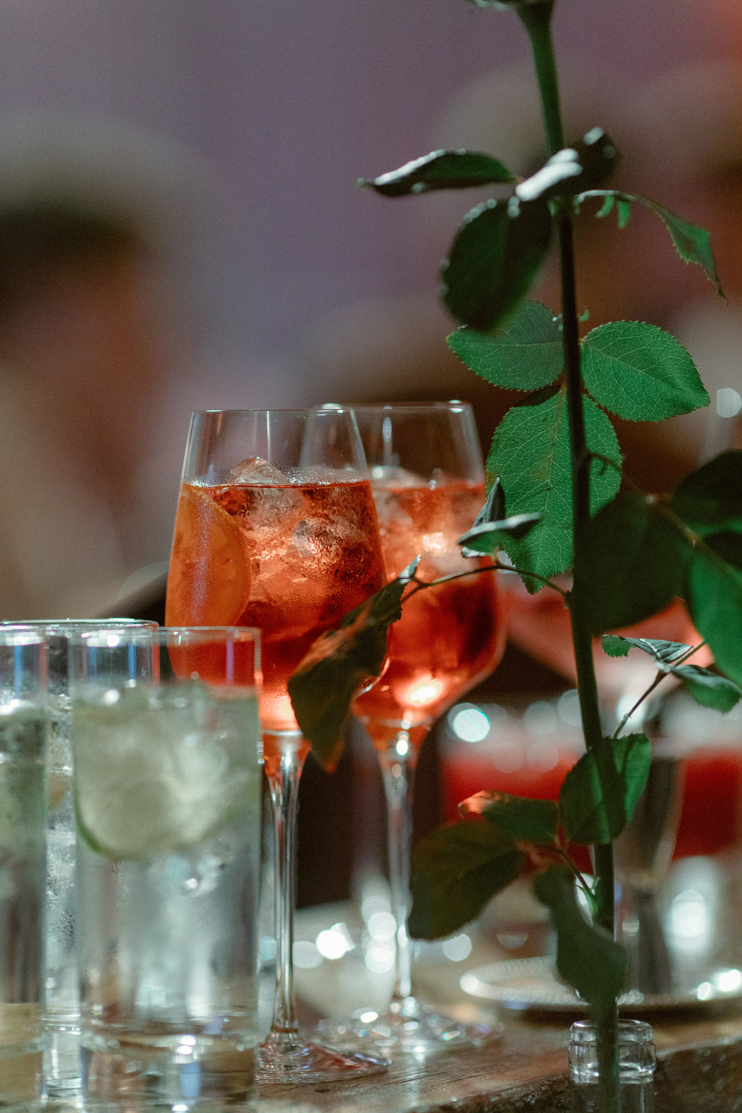 Unisender Chill Party. Свадебный и репортажный фотограф