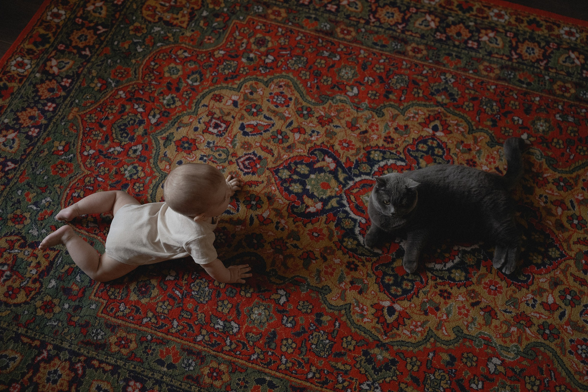 Посмотри как я люблю тебя…. Свадебный и семейный фотограф в Абакане Василевский Алексей