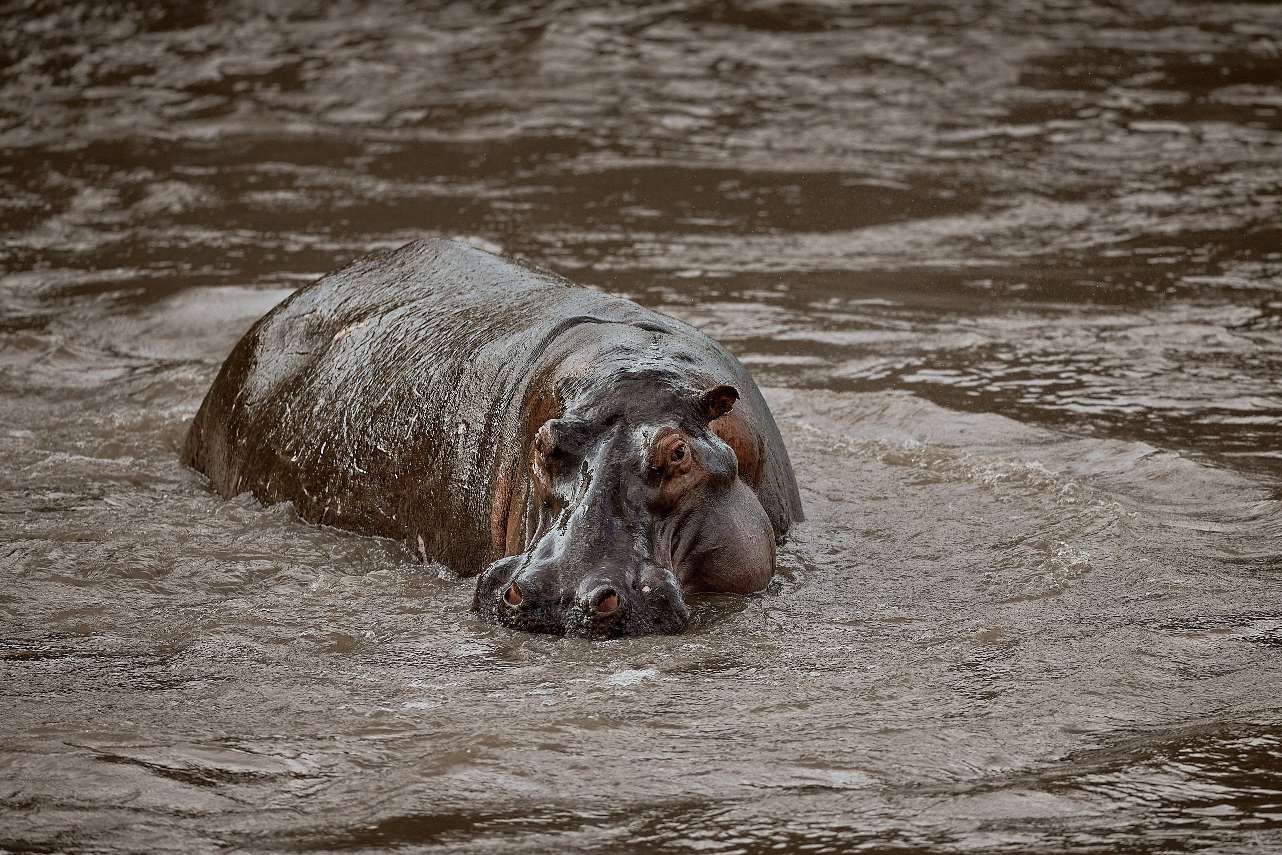 Я вас не звал!