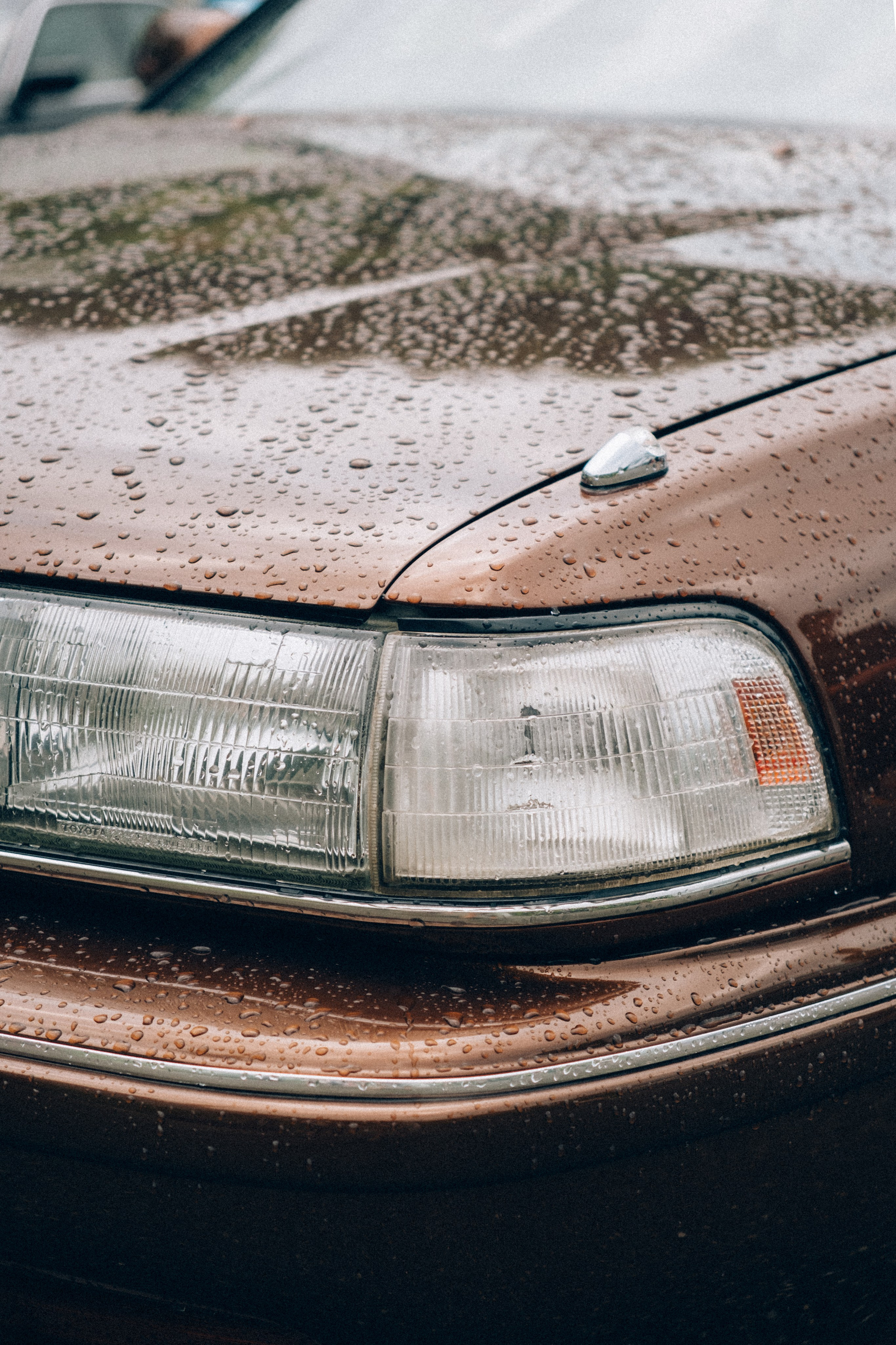 Grounded Festivals 2025. Репортажный фотограф в Сочи Екатерина Вежливцева