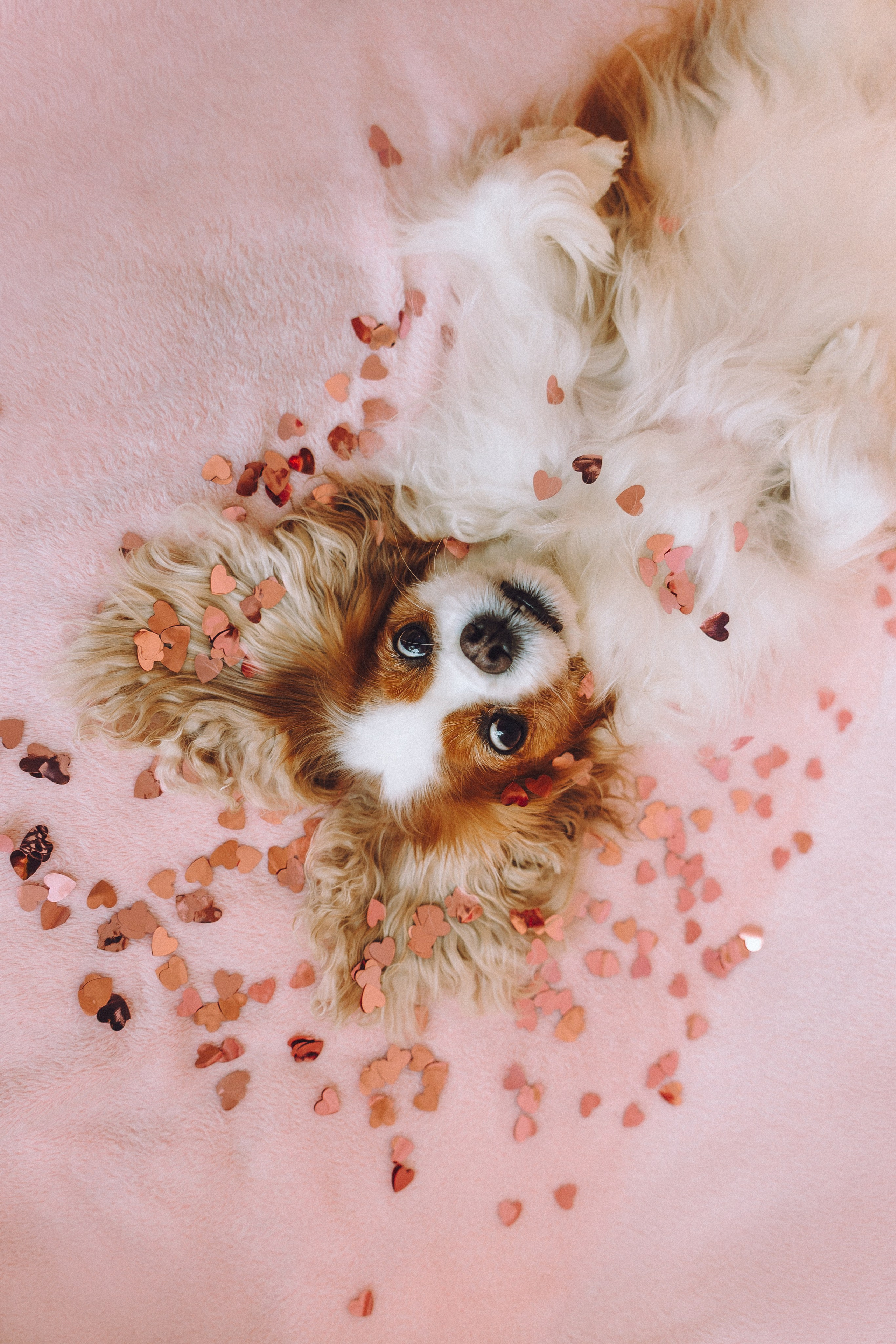 Наташа и Вики