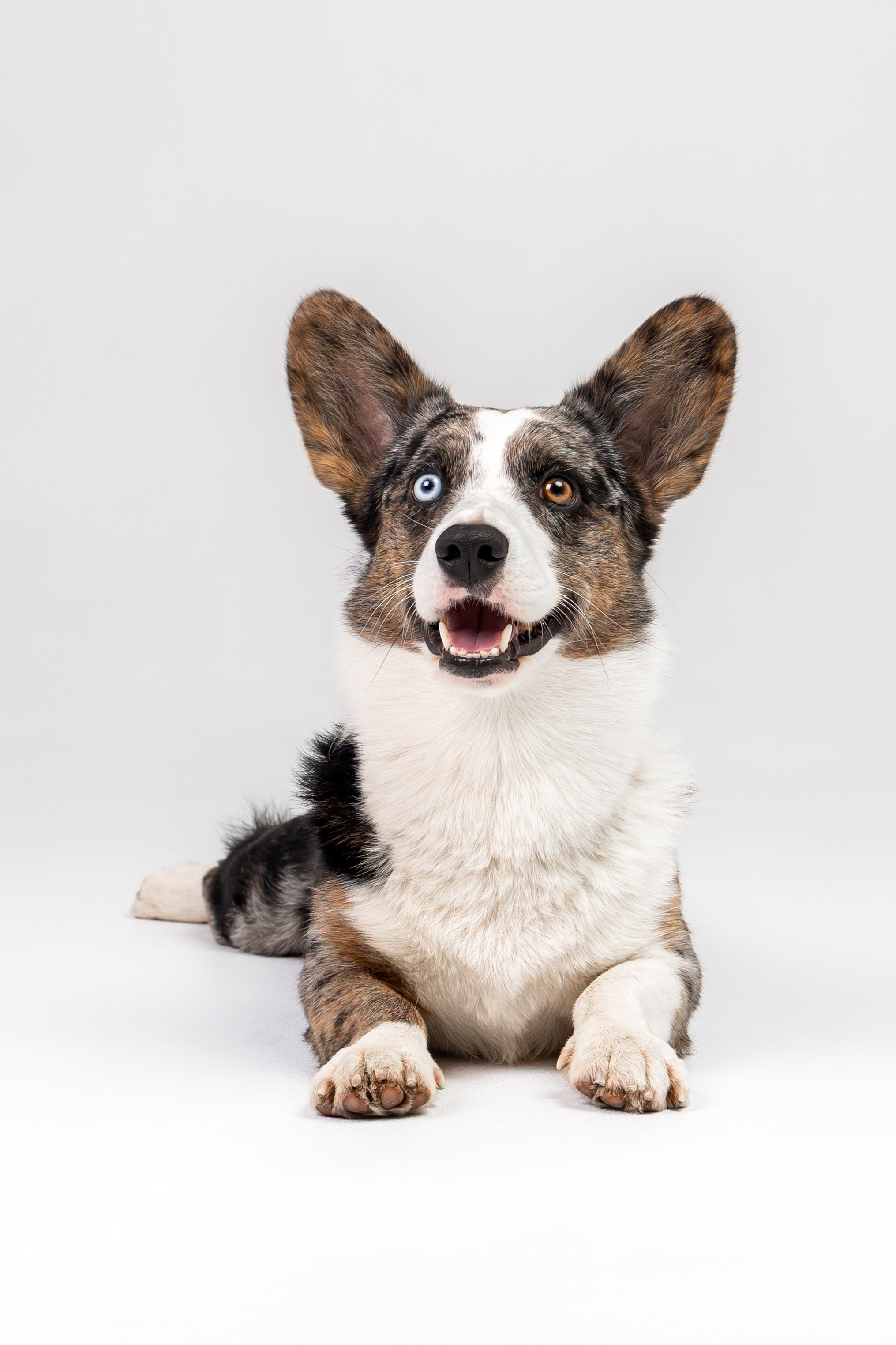 Анатолий и Рагнар