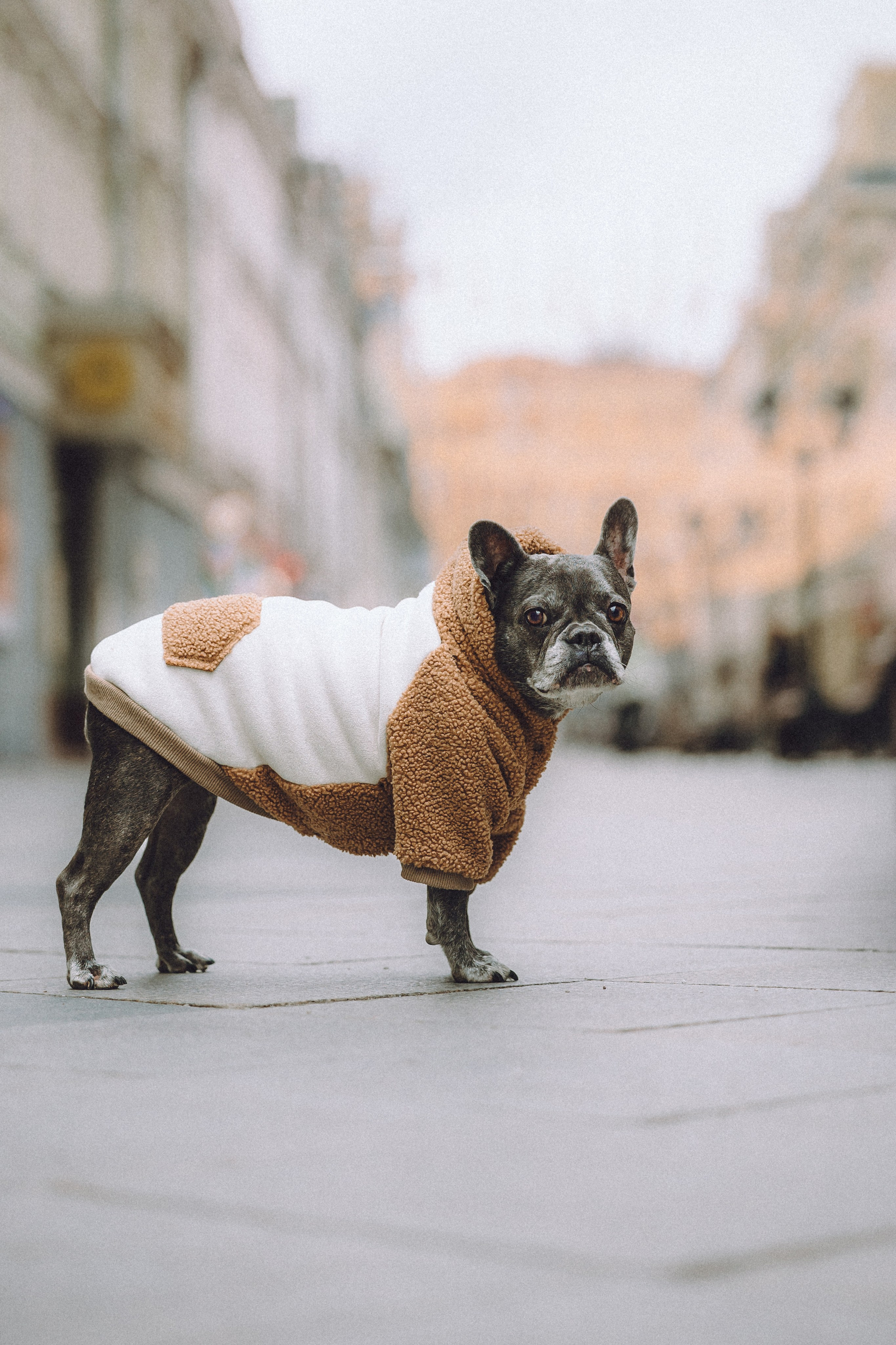 Юля, Вова и Моня