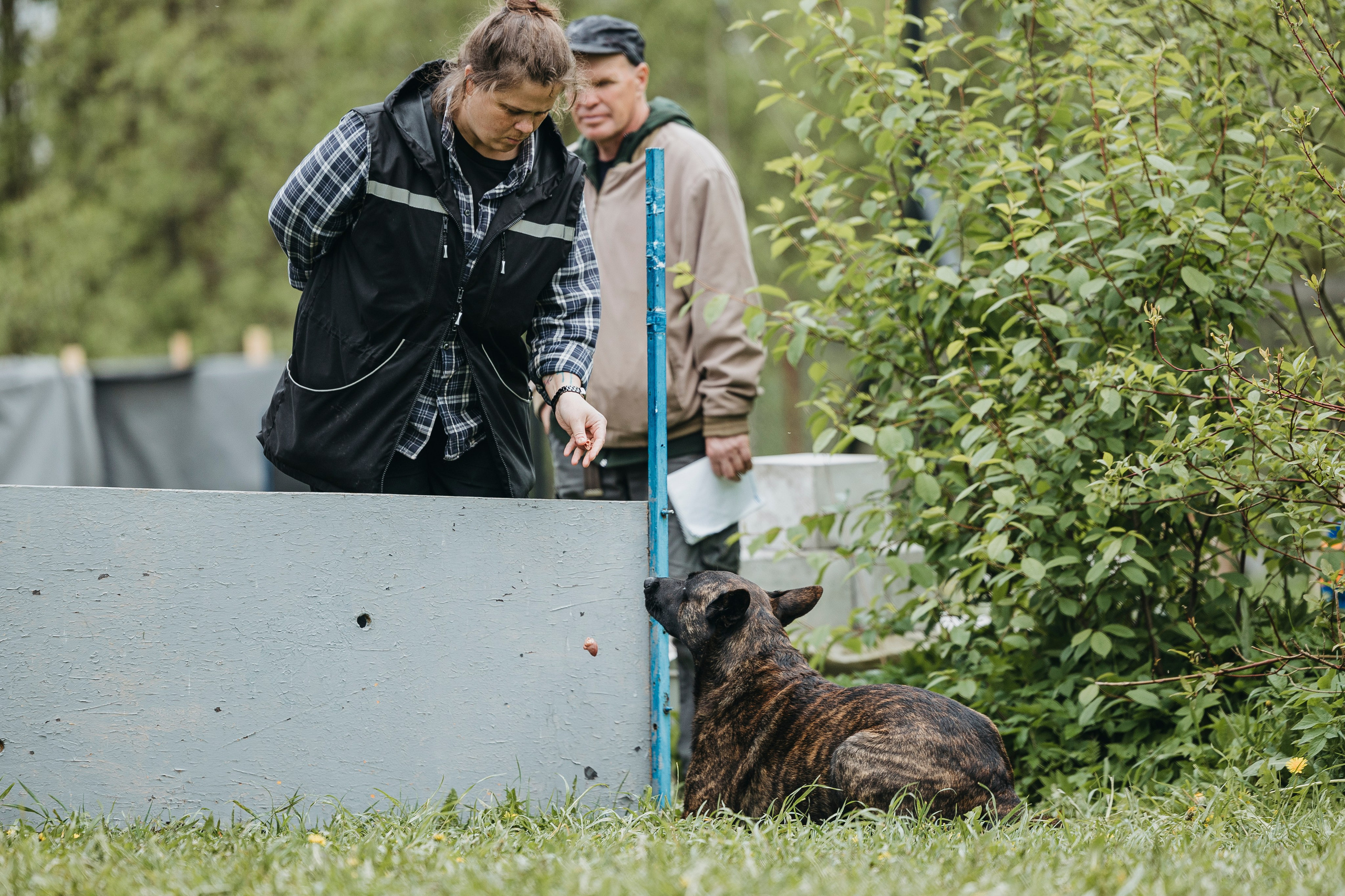 26.05.25 г. Пушкин квалификационные соревнования. Фотограф-анималист Анна Маринич