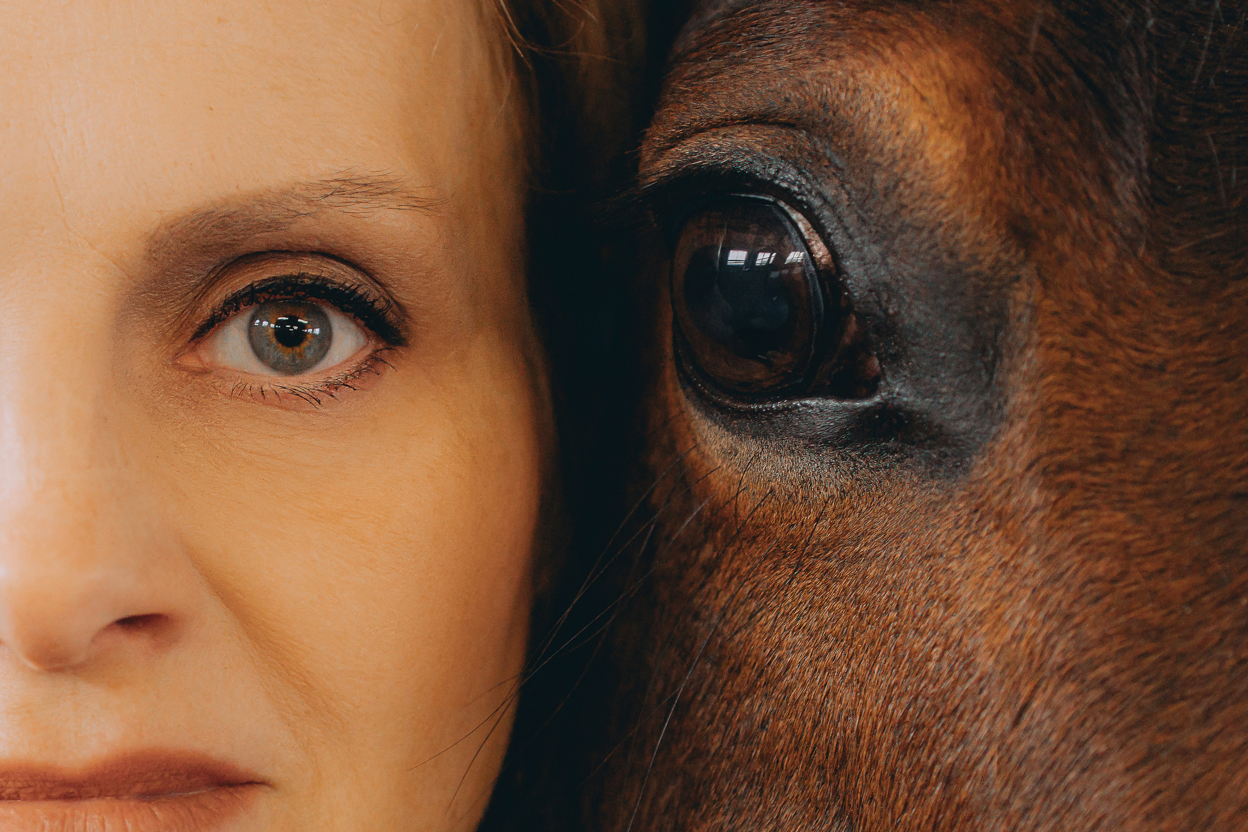 Курсы на фотографа-анималиста