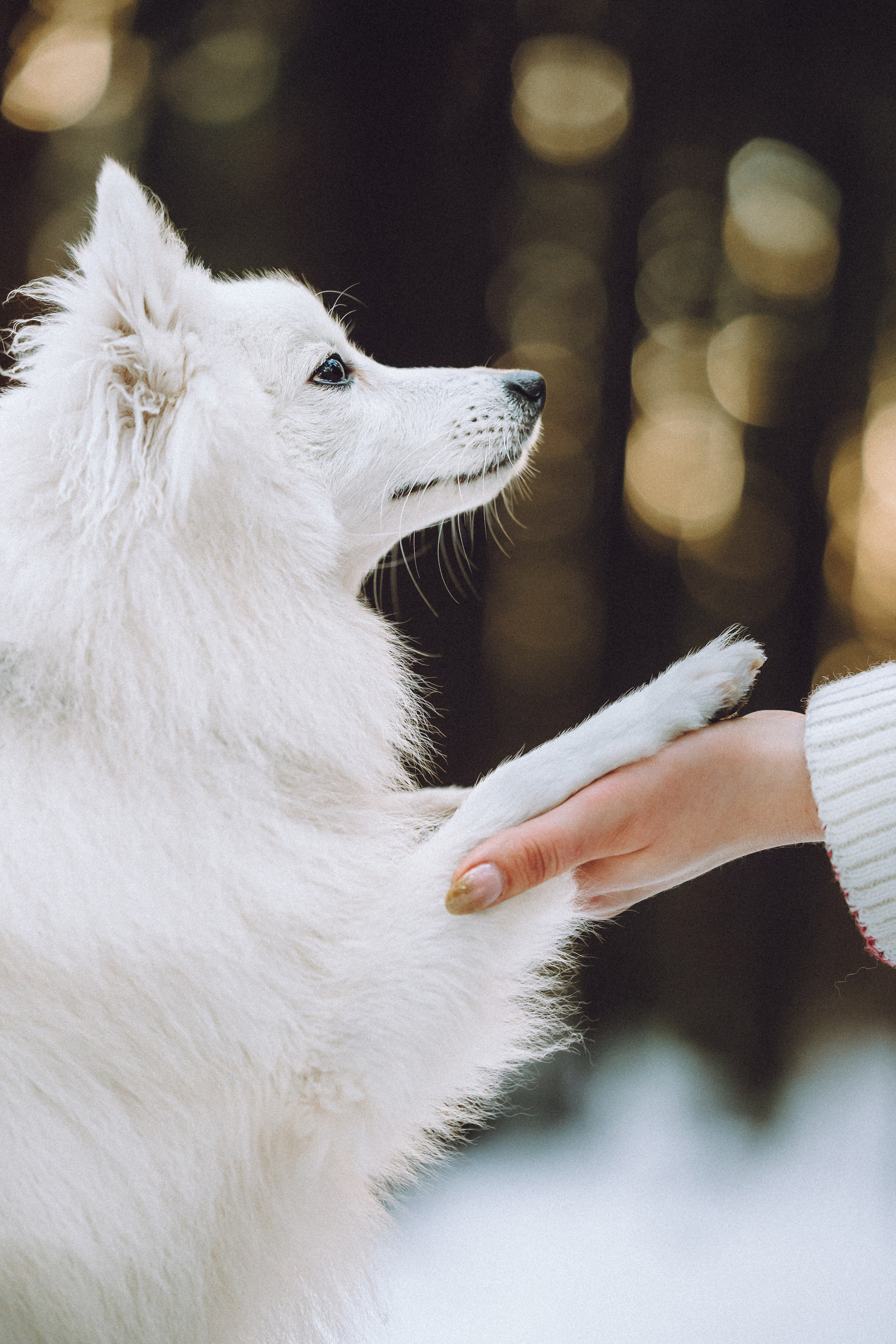 Шани и ее семья