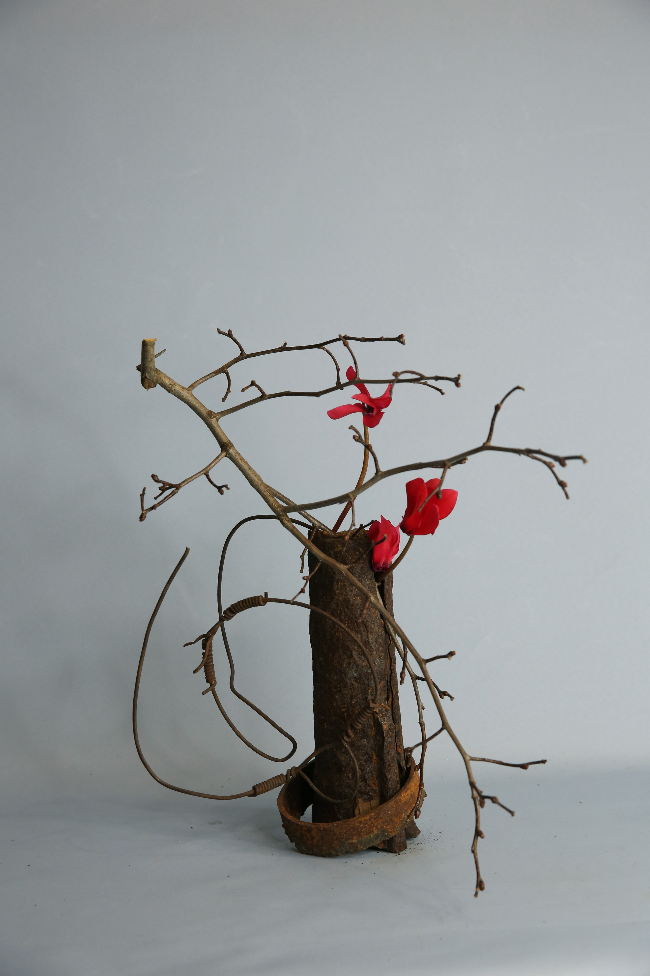 Икэбана Барне. Фотограф Анна Барне