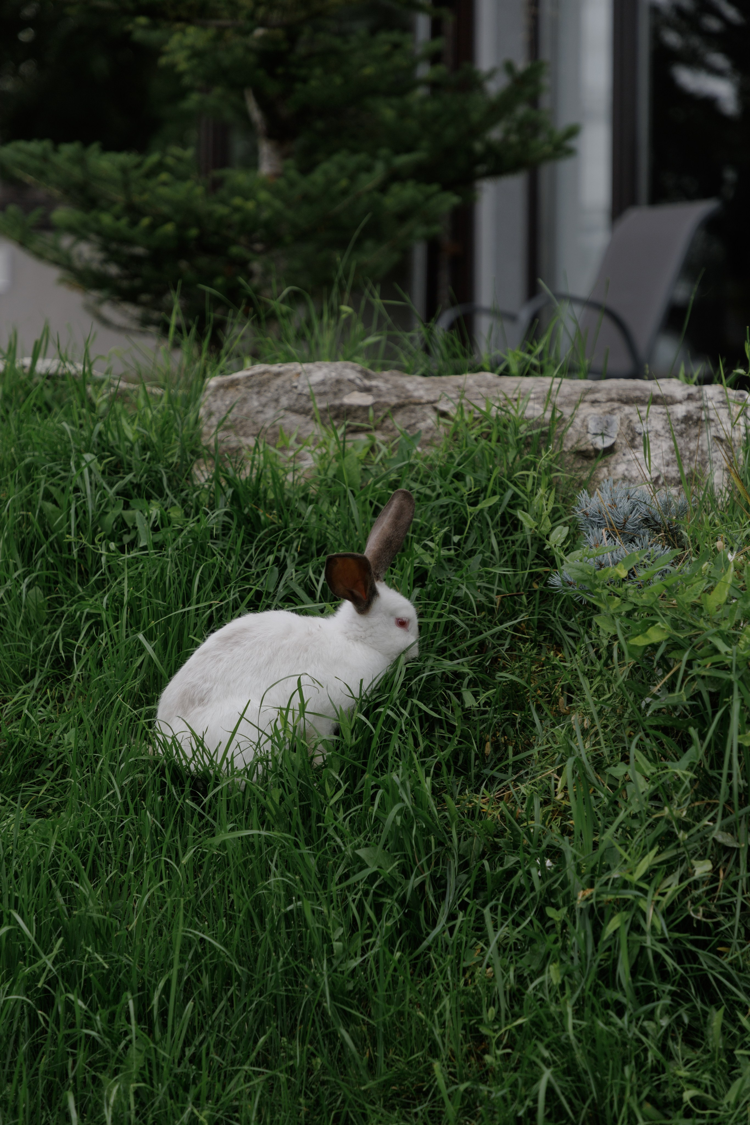 Кристина и Илья. Свадебный фотограф в Самаре Виденмаер Евгения