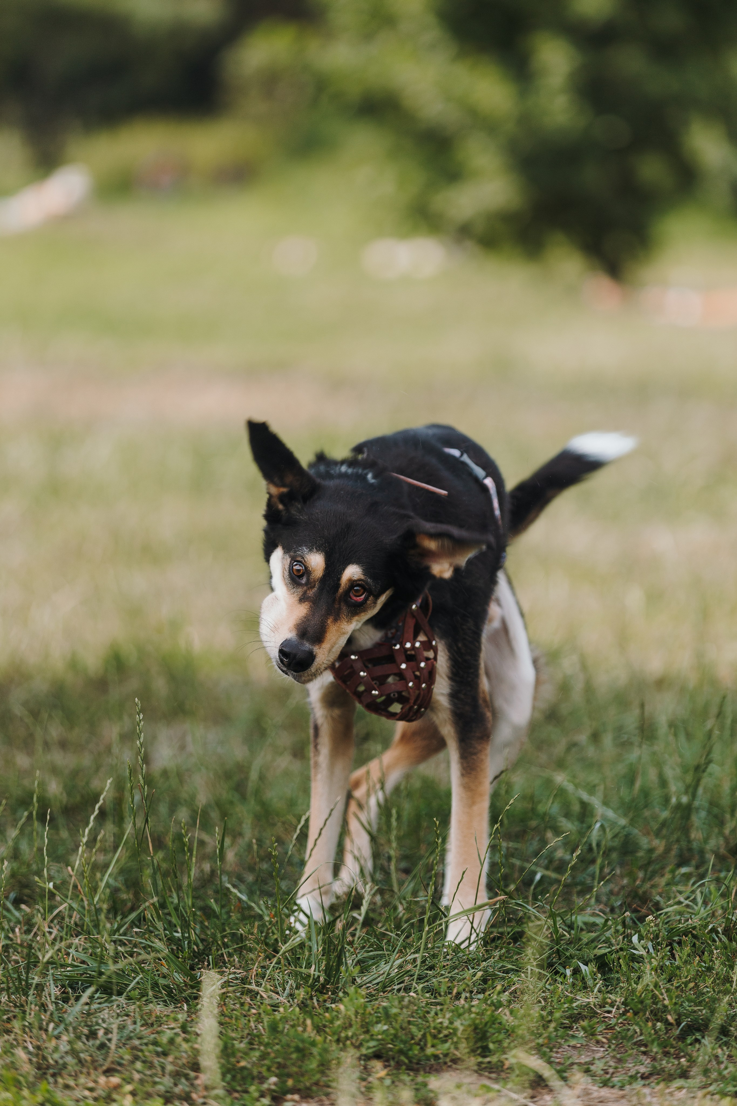 Petshop Sup day. Фотограф анималист Кристина Карпова, Москва
