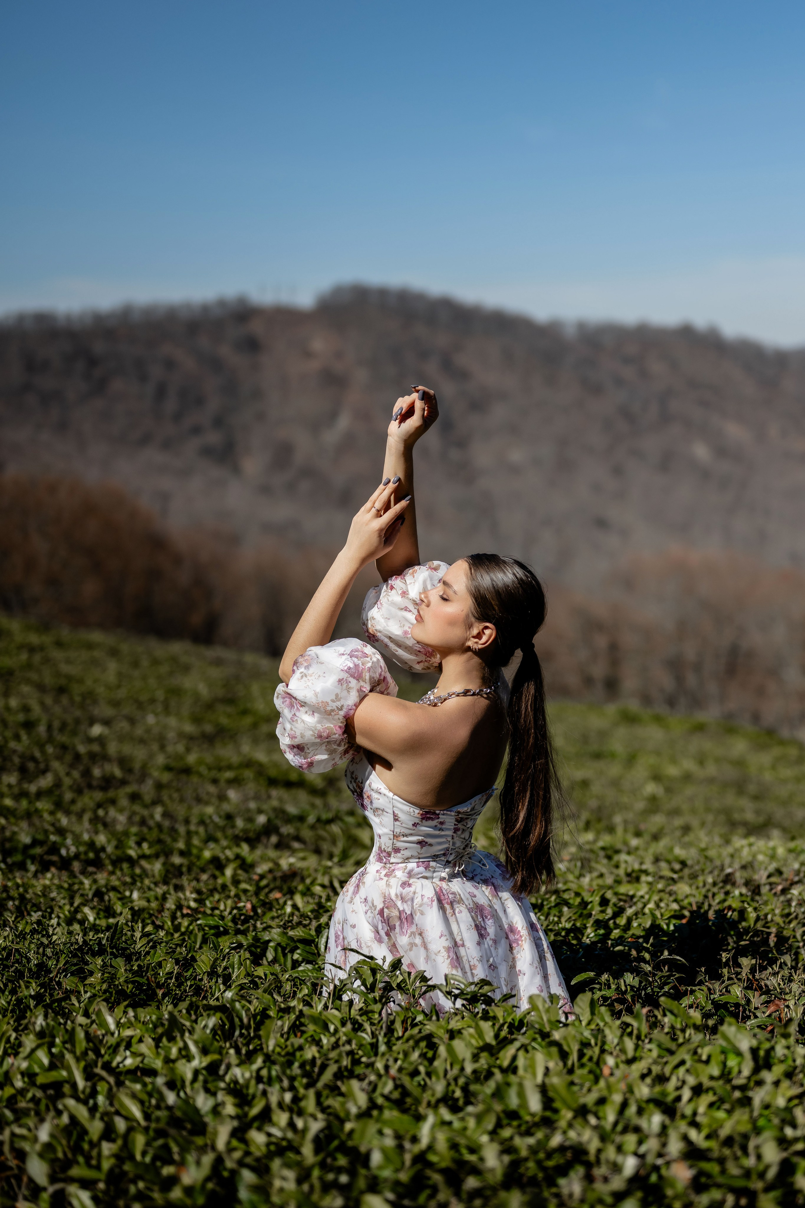 Люда чайные. Наталья Слесаренко фотограф в Сочи