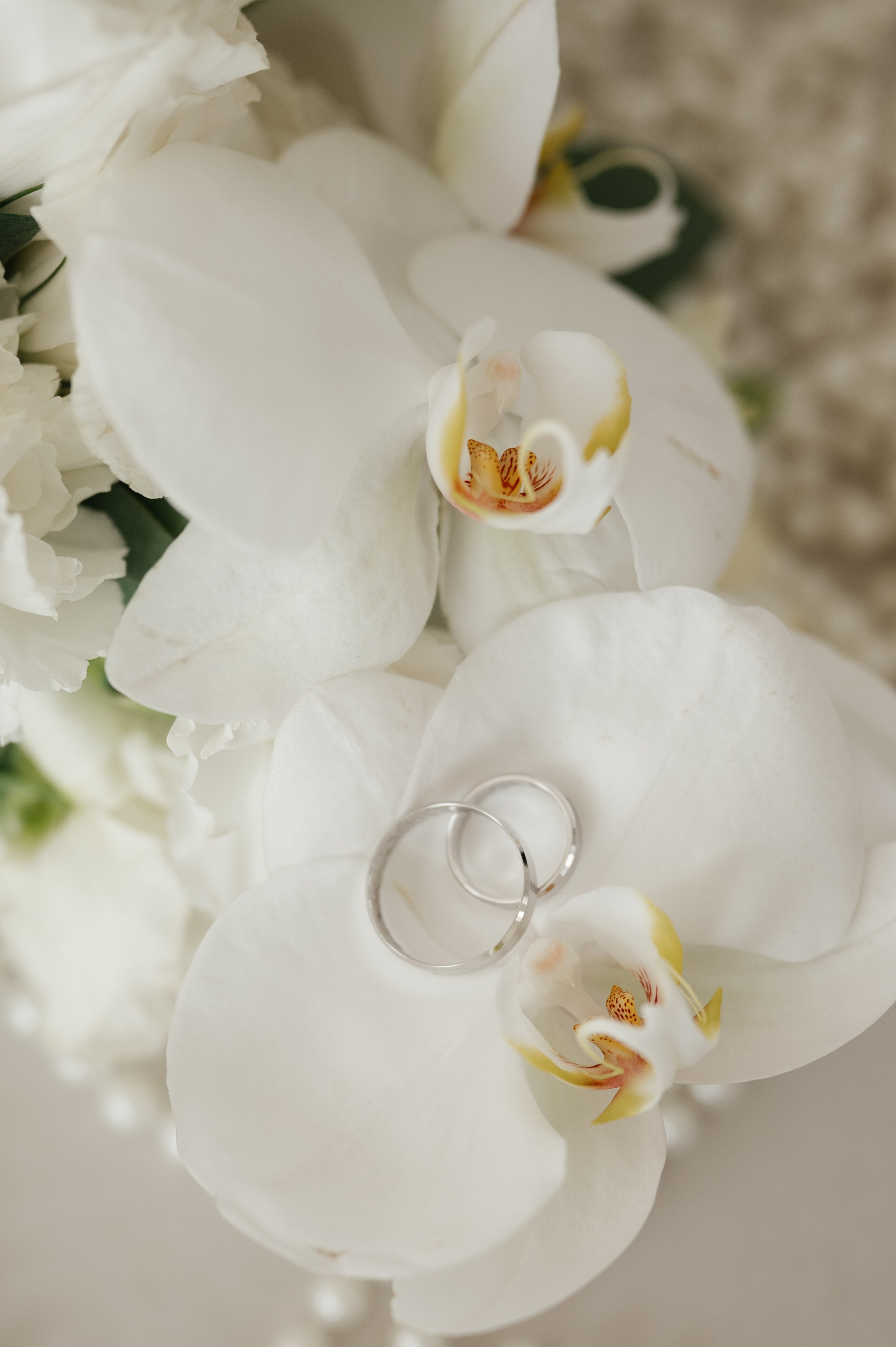 Павел и Полина. Свадебный и семейный фотограф в Краснодаре Алина Мельник