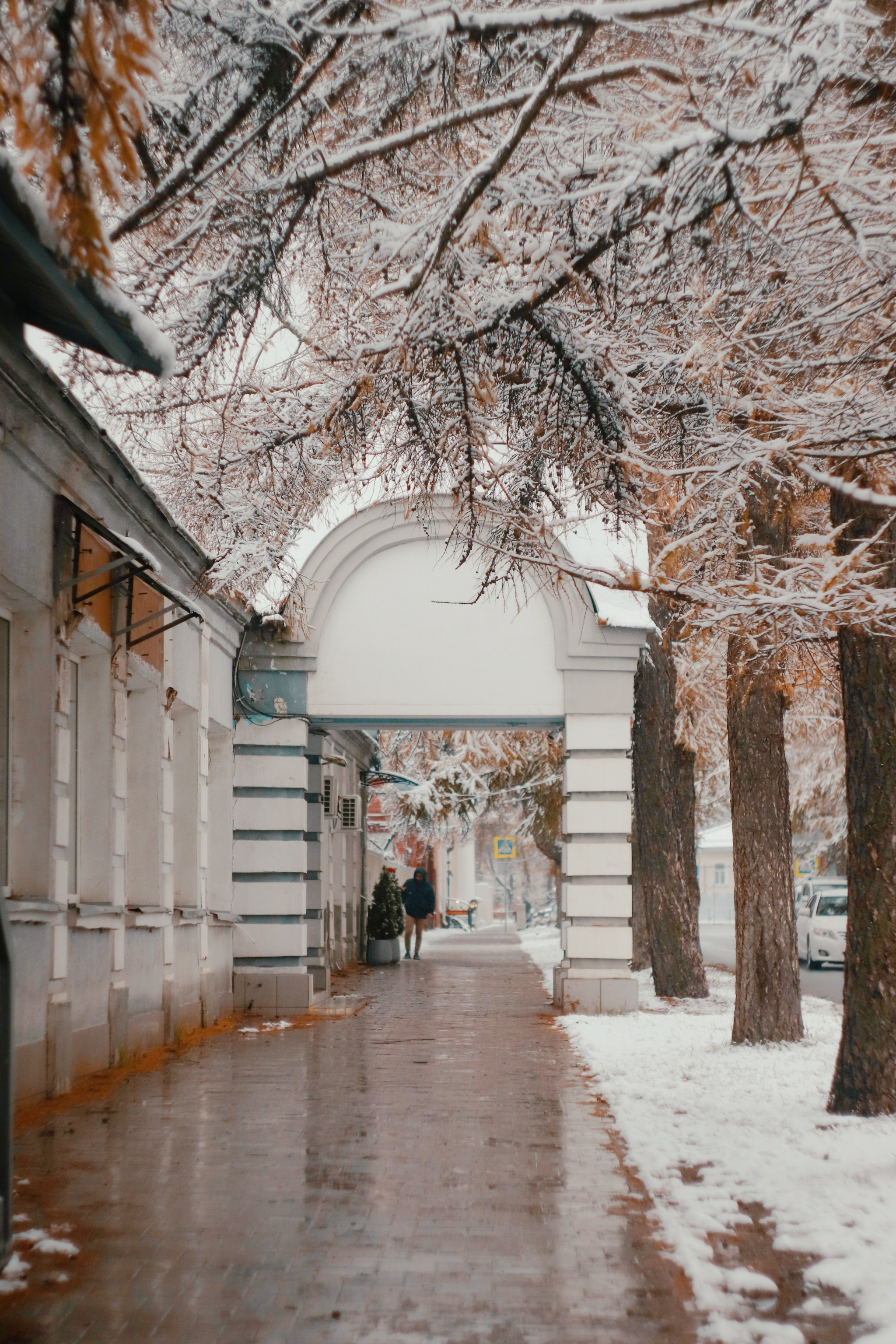 Ноябрьский снег. С любовью, фотохудожник
