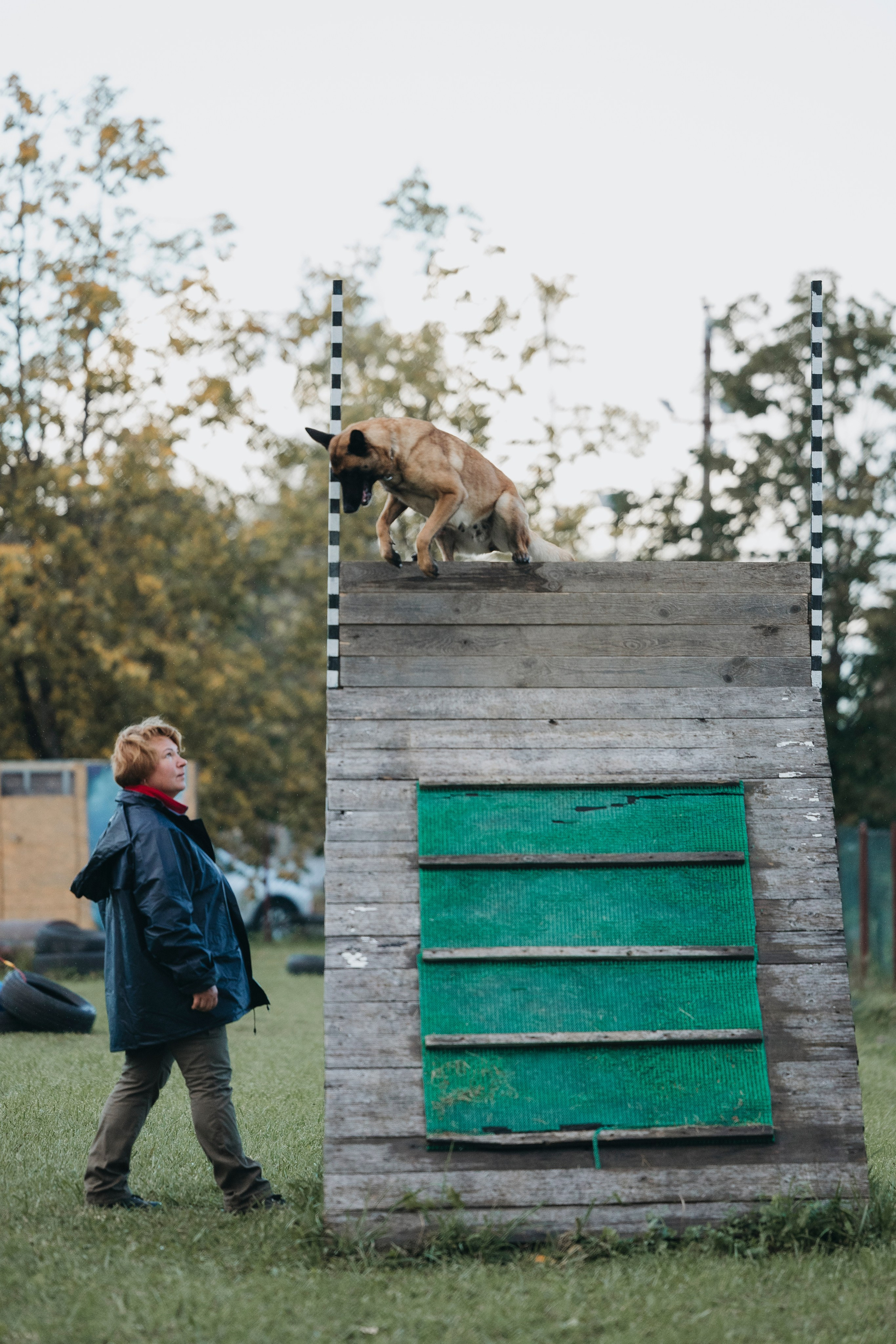 Испытания по мондьорингу г. Пушкин 29.09.2024. Фотограф-анималист Анна Маринич