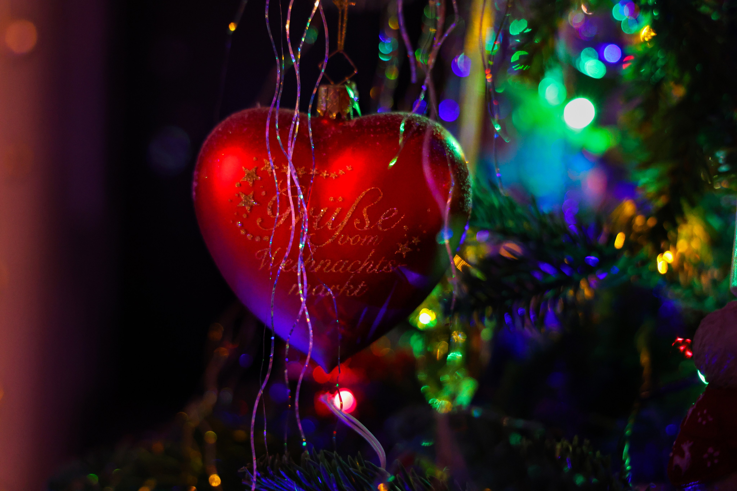 Christmas tree. Portrait photographer based in Toronto — Blinova Mariia