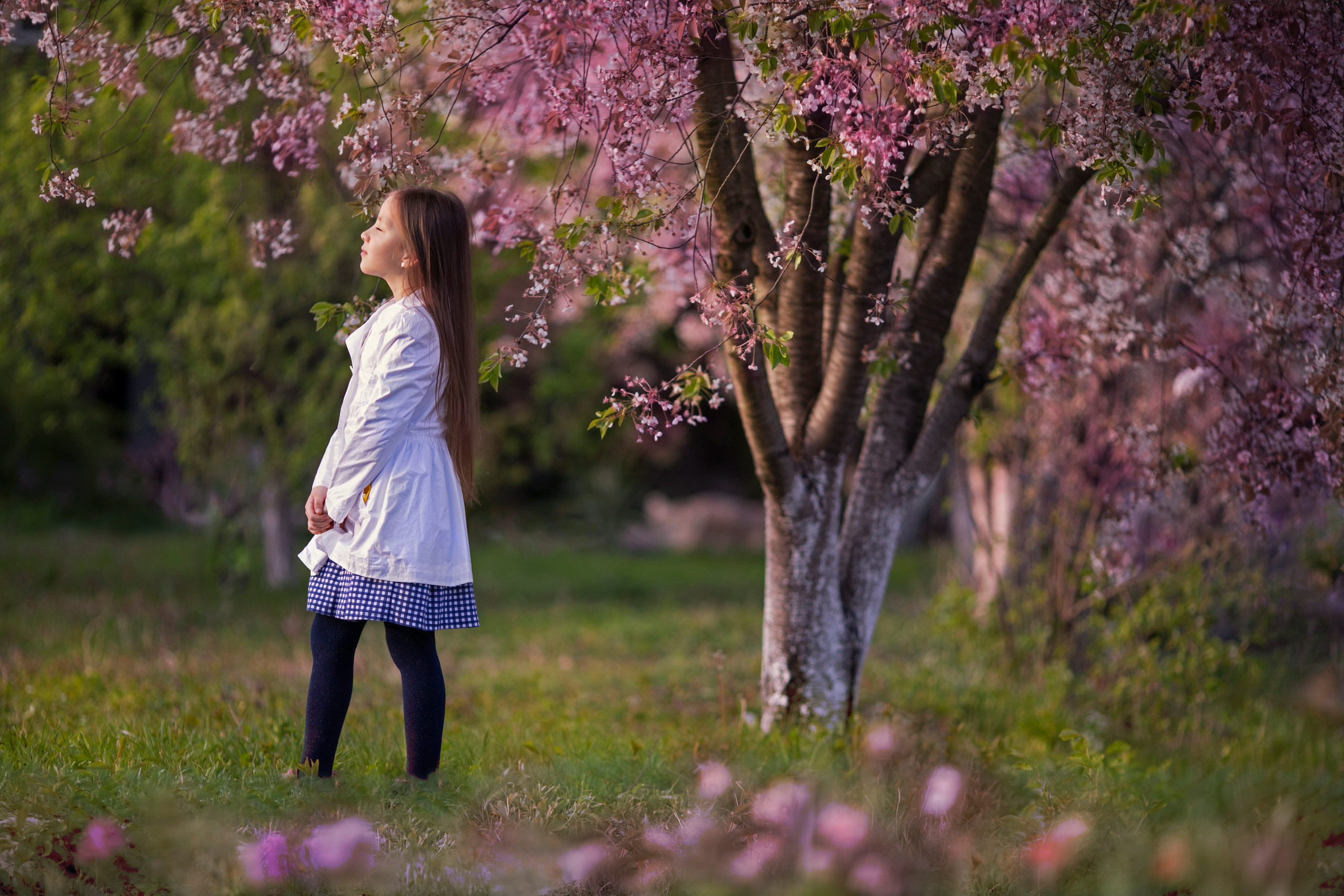 Аурора. Фотограф и дизайнер г. Новороссийск Алена Дарбакова