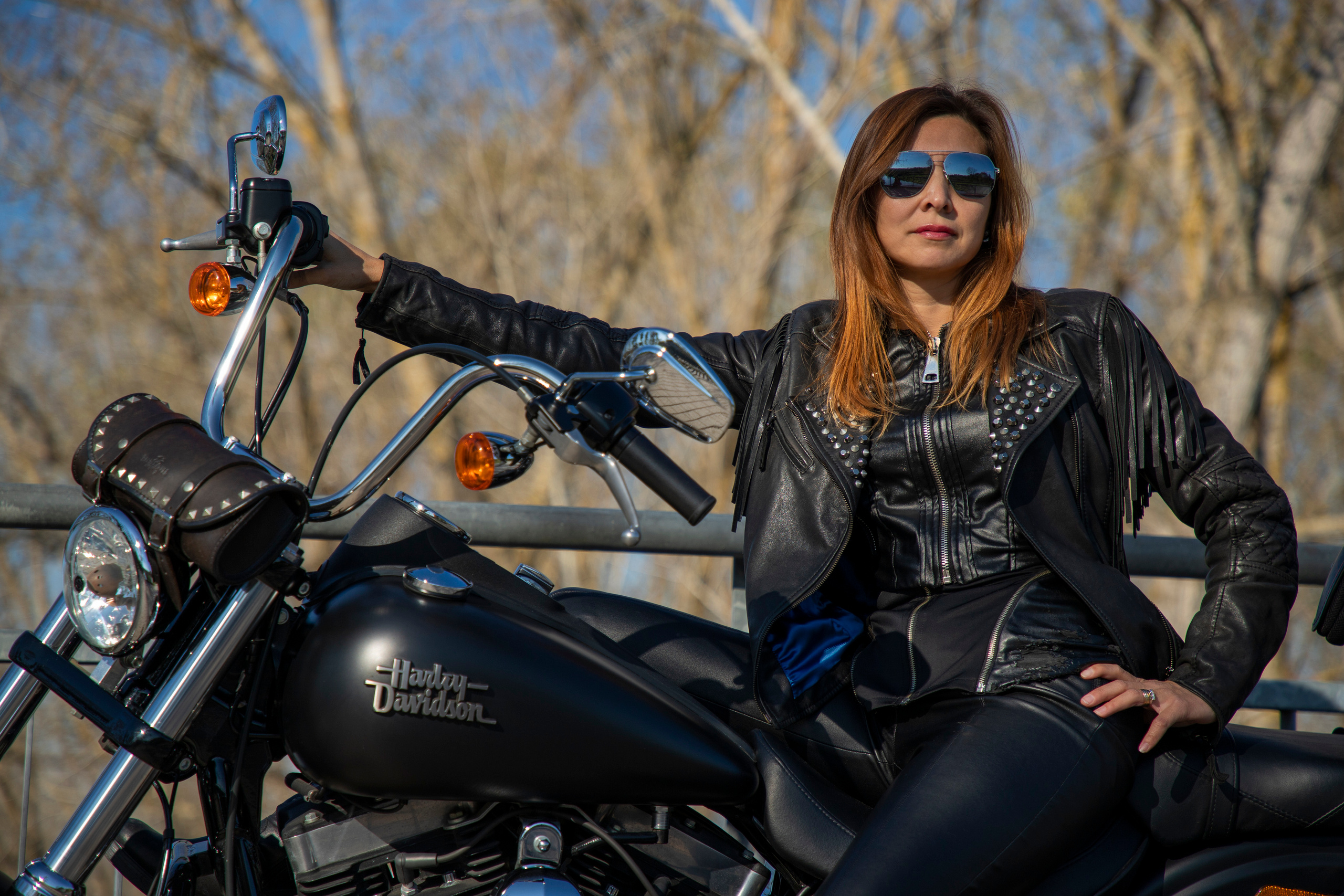 Harley-Davidson. Фотограф и дизайнер г. Новороссийск Алена Дарбакова