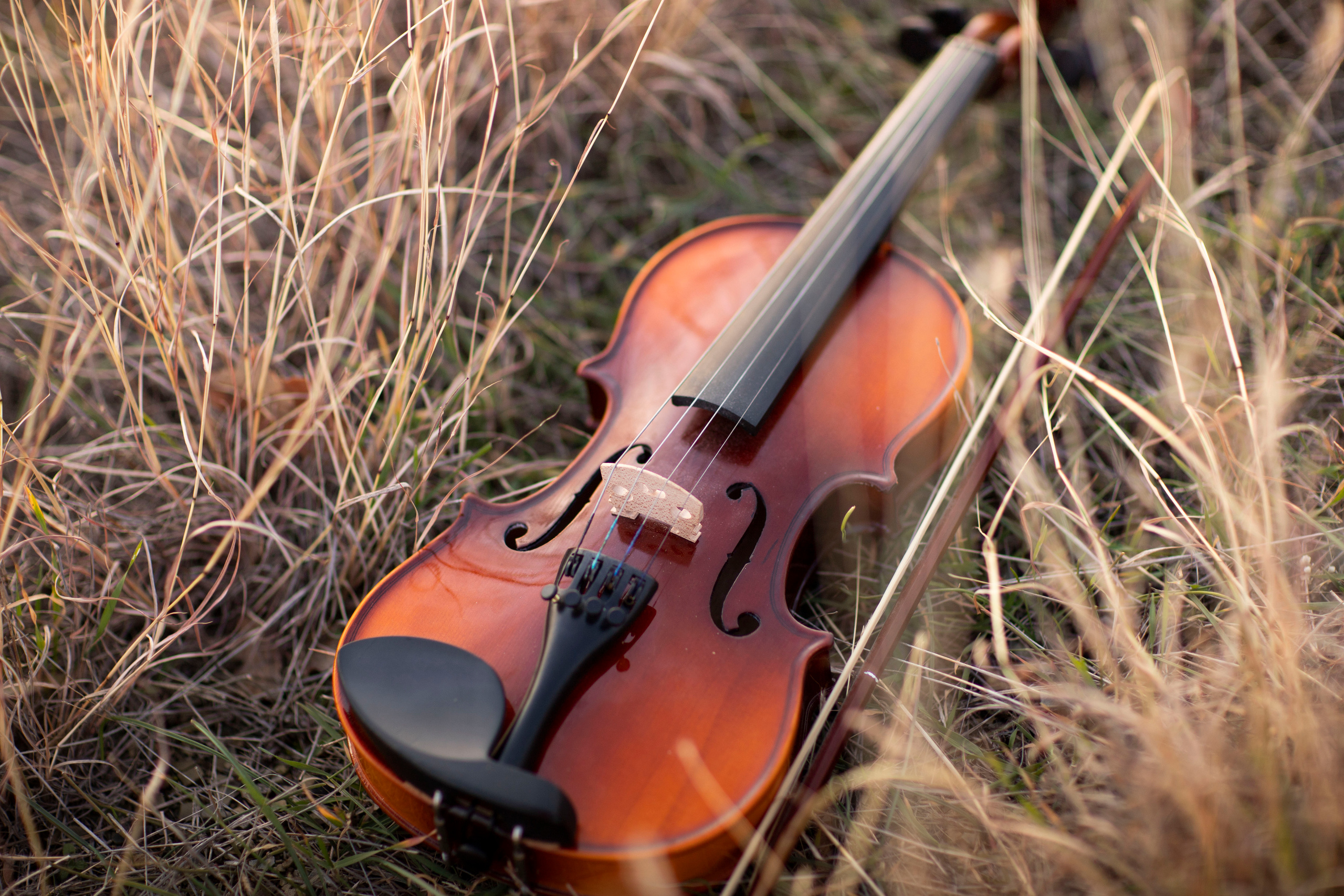 Осень. Фотограф и дизайнер г. Новороссийск Алена Дарбакова