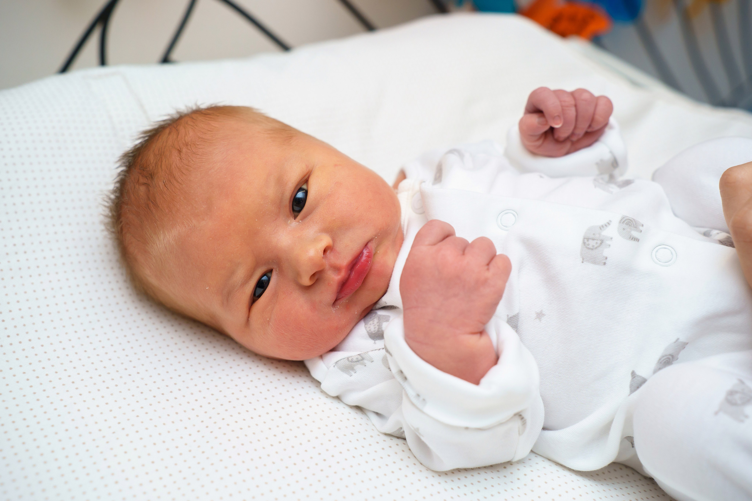 Скандинавия. Главная