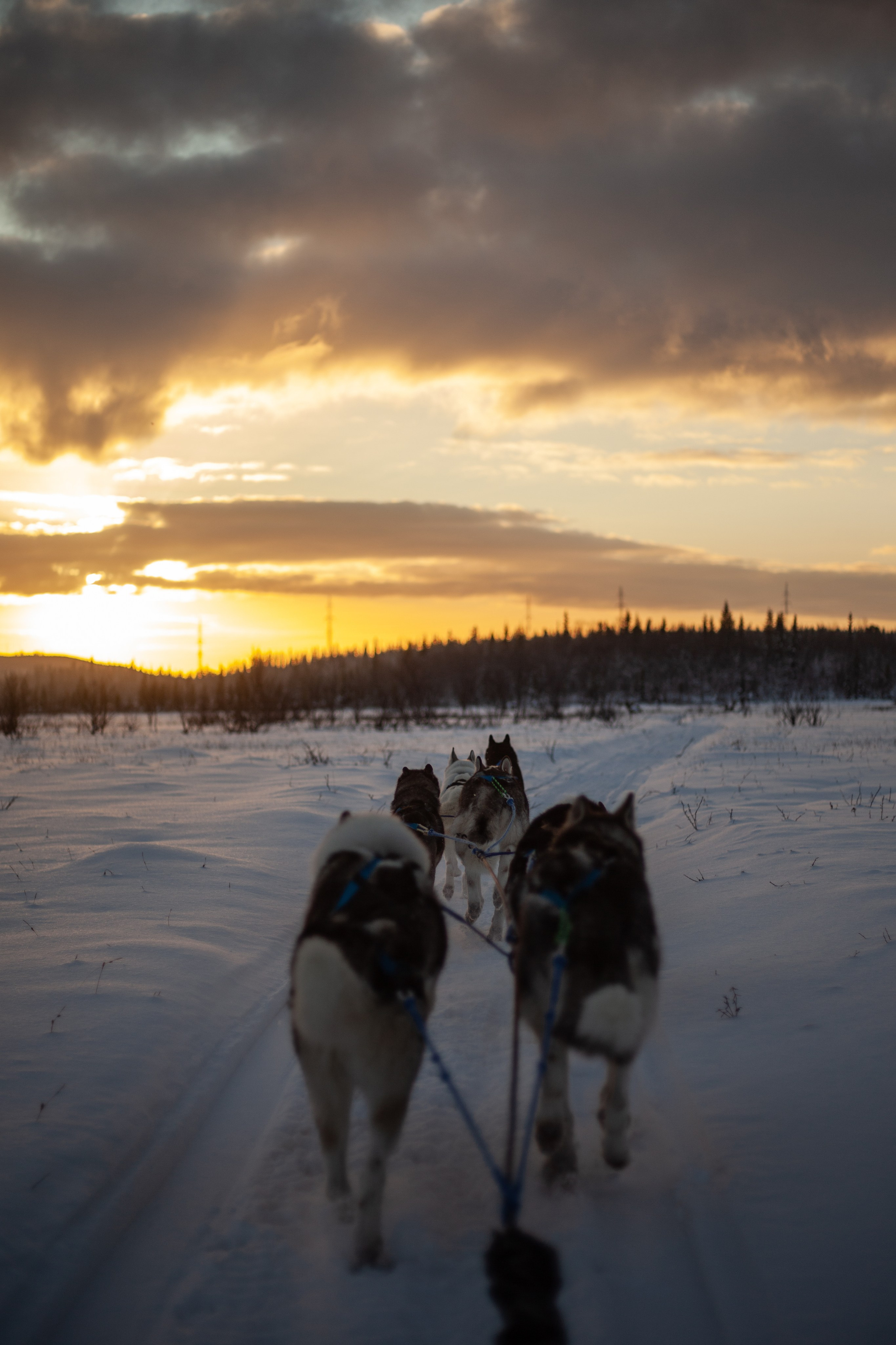 Путешествие по Териберке. Северное сияние. Уникальные экспедиции — LUCKY CLAN