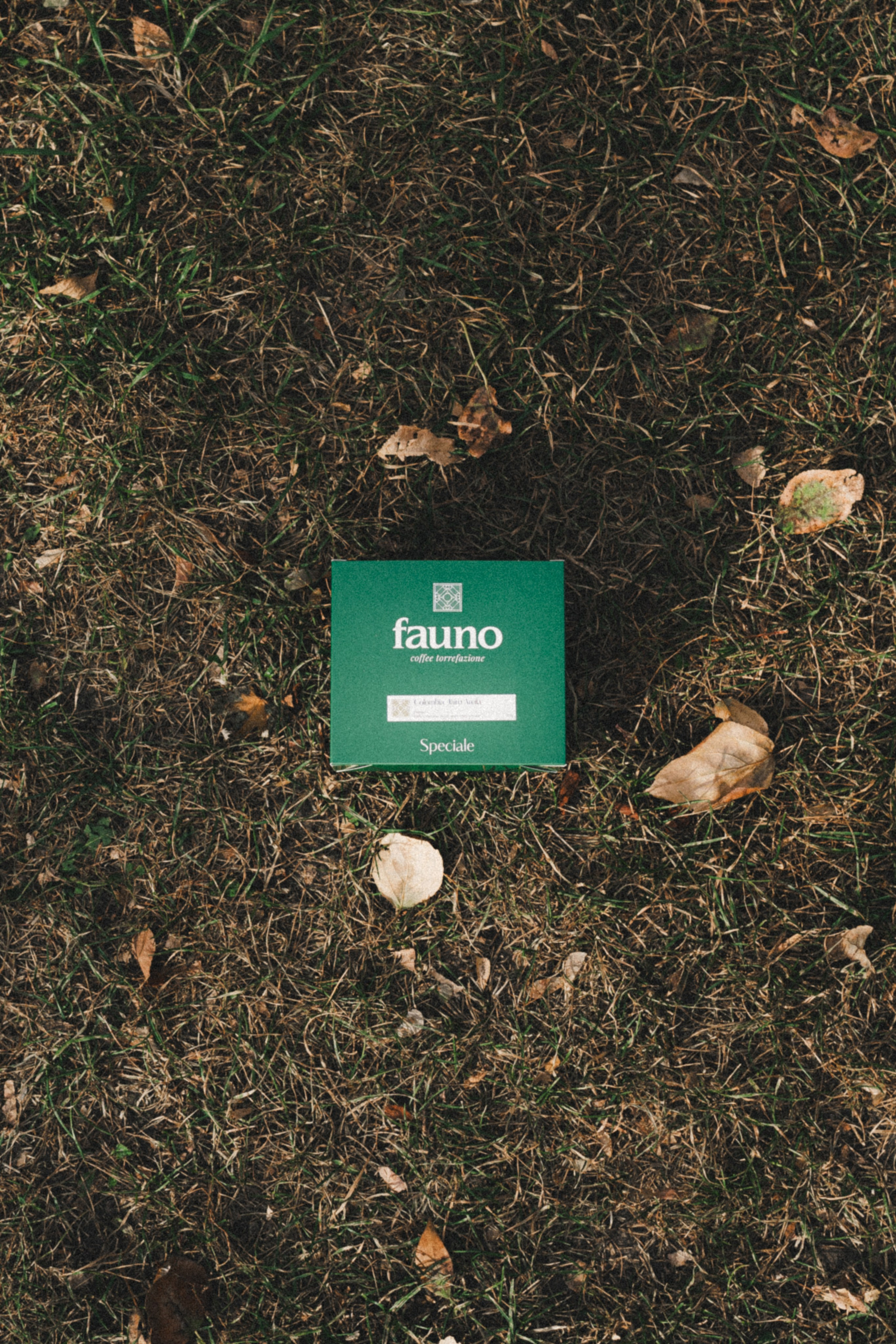 Fauno. Фотограф Илья К. в Москве